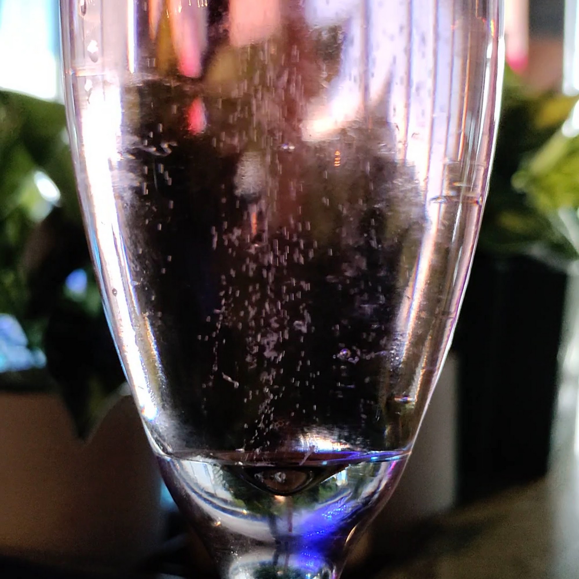 The Creek Patio Grill Cave Creek