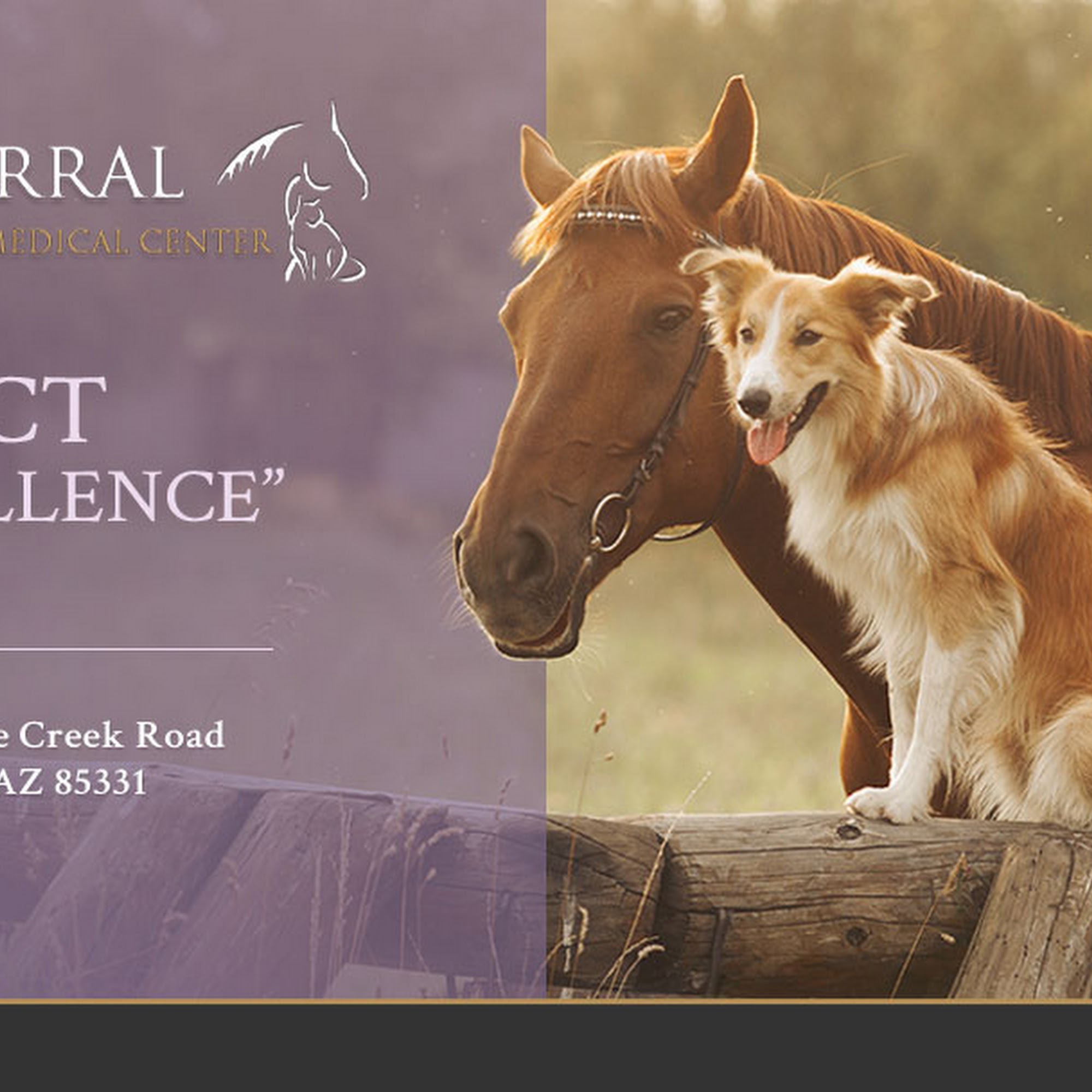 Chaparral Veterinary Medical Center Cave Creek