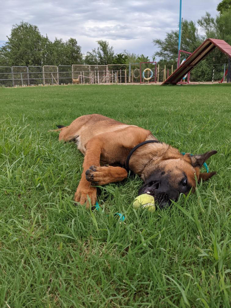 Photo credit: nextdoor