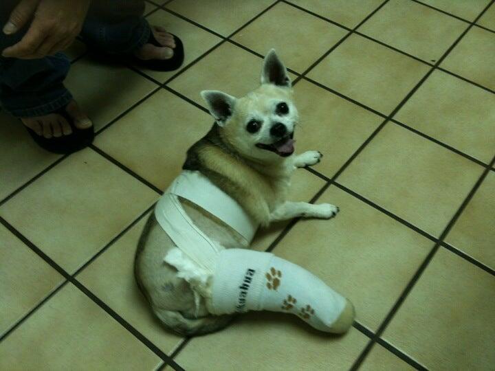 Photo credit: nextdoor