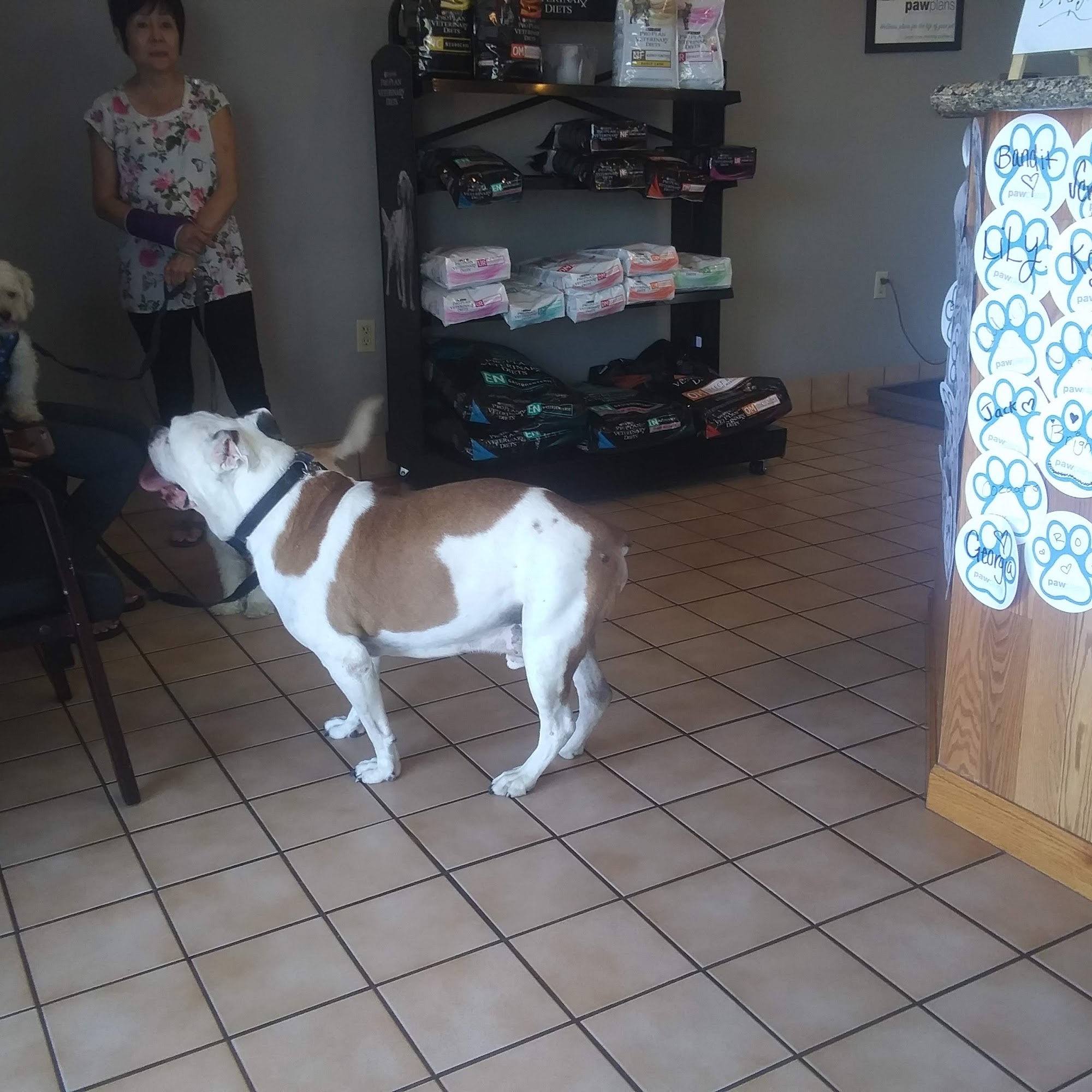 Gardetto Mike L DVM Chandler