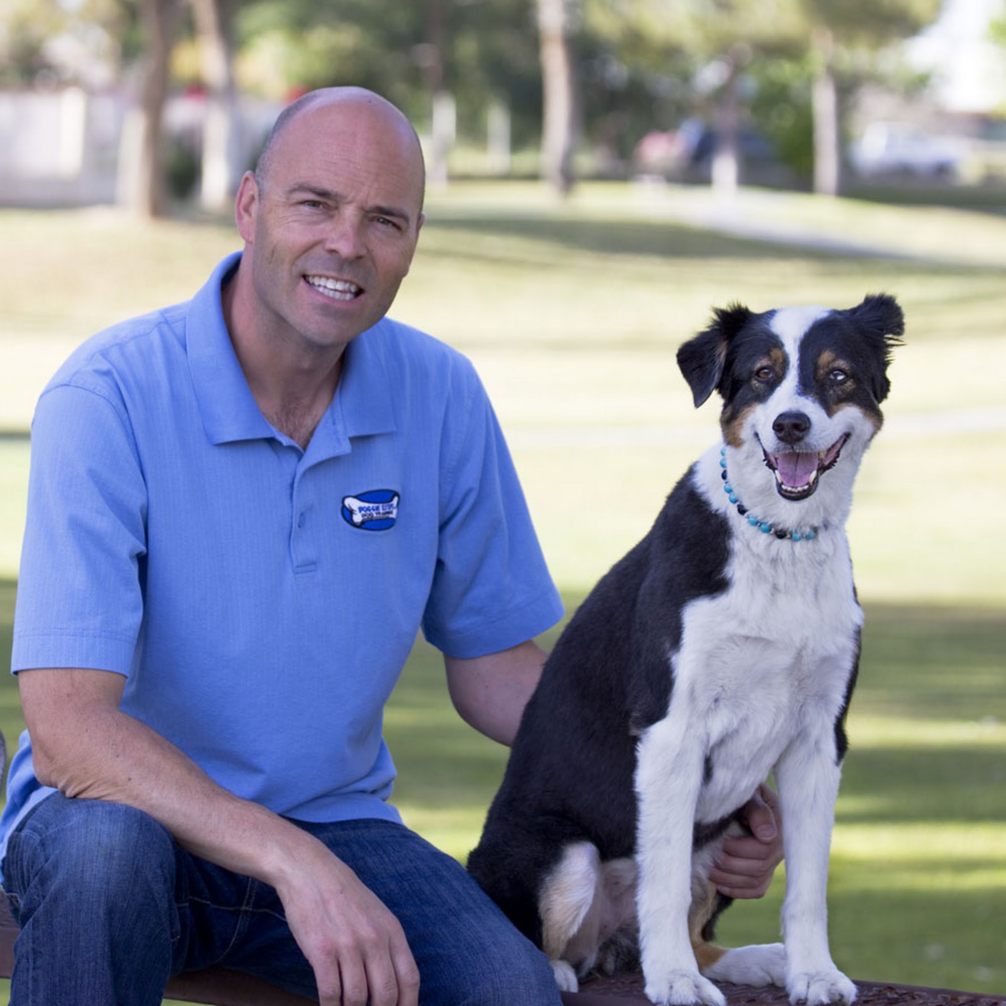 Doggie Steps Dog Training LLC Chandler