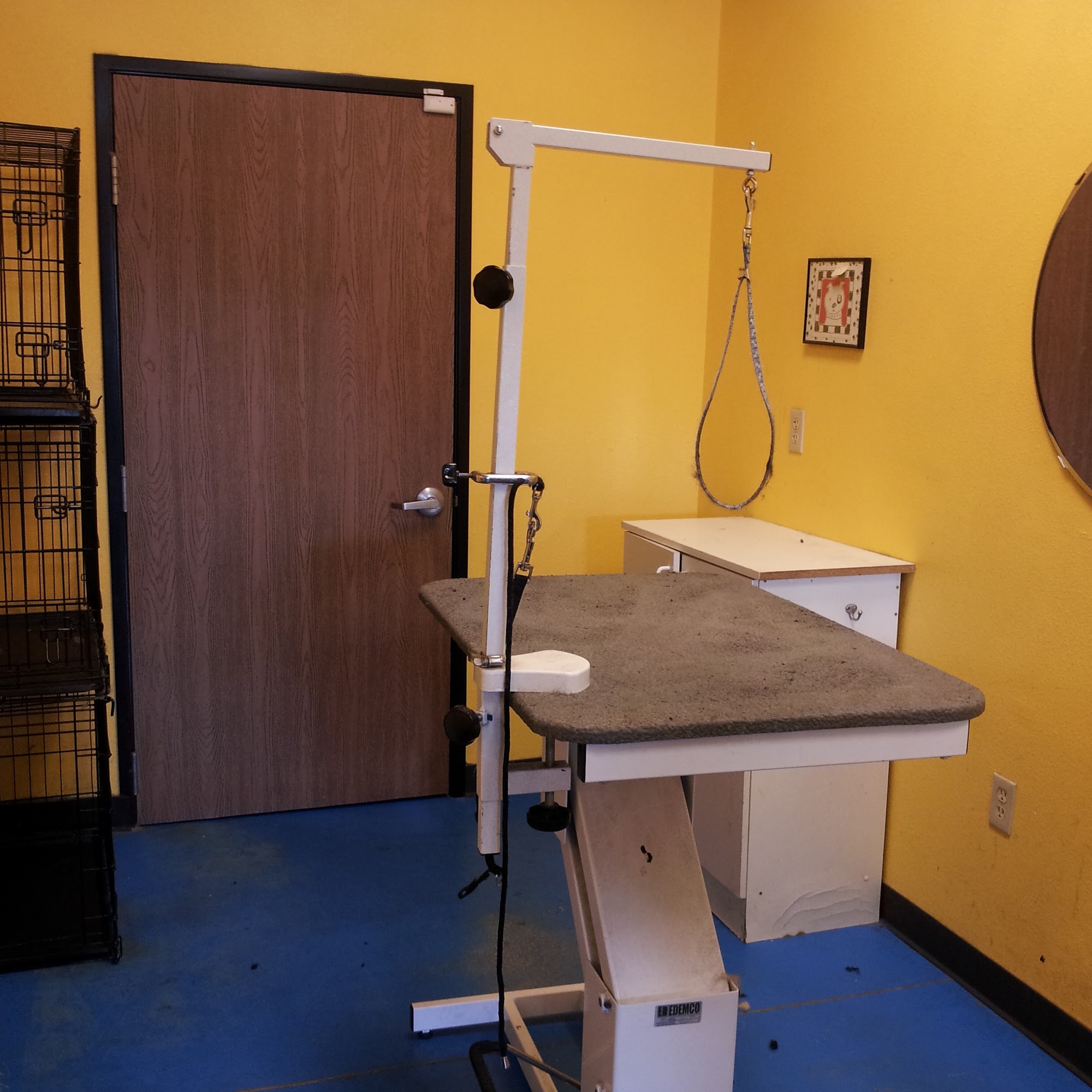 Dippity Do Dog Chandler