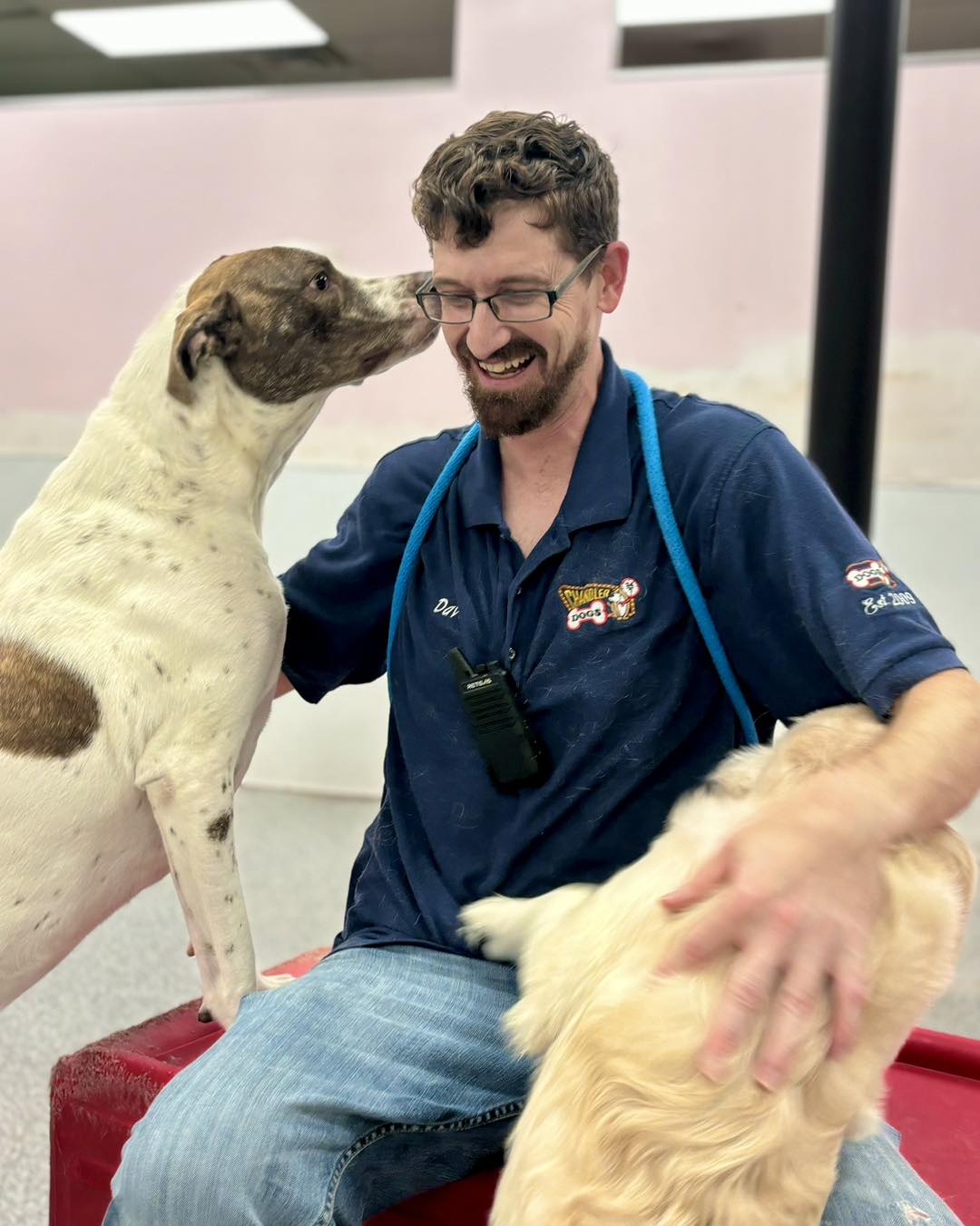 Chandler Dogs 24/7 Chandler