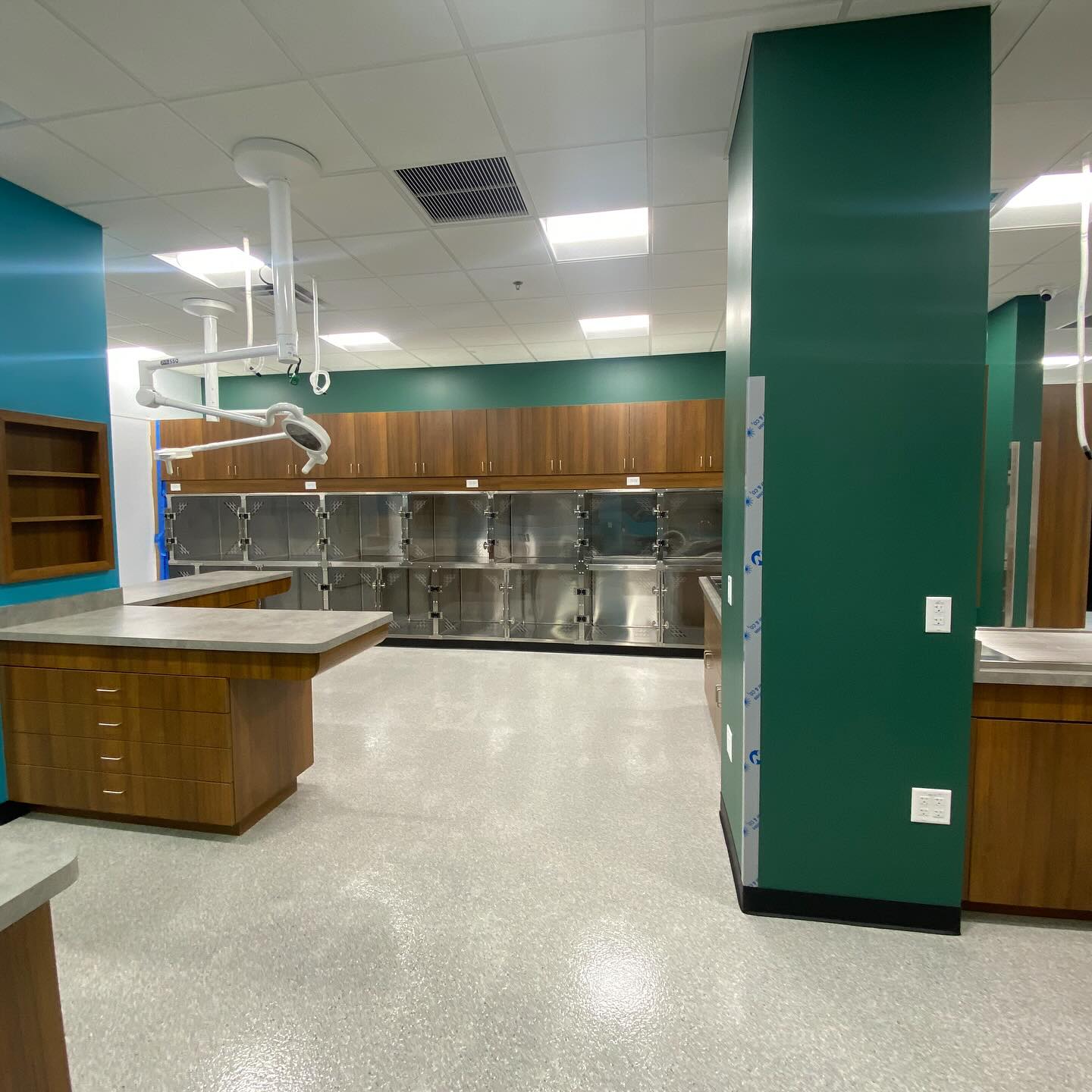 Trilogy Veterinary Medical Center Chandler