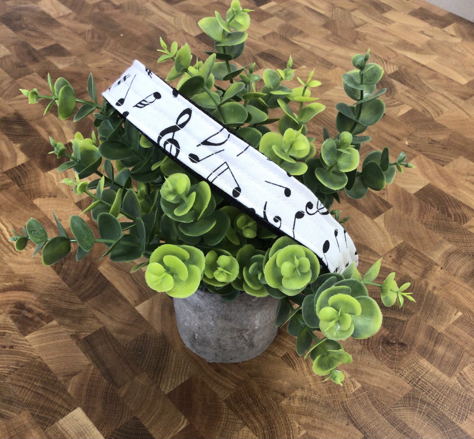 Apples Pet Boutique Chandler