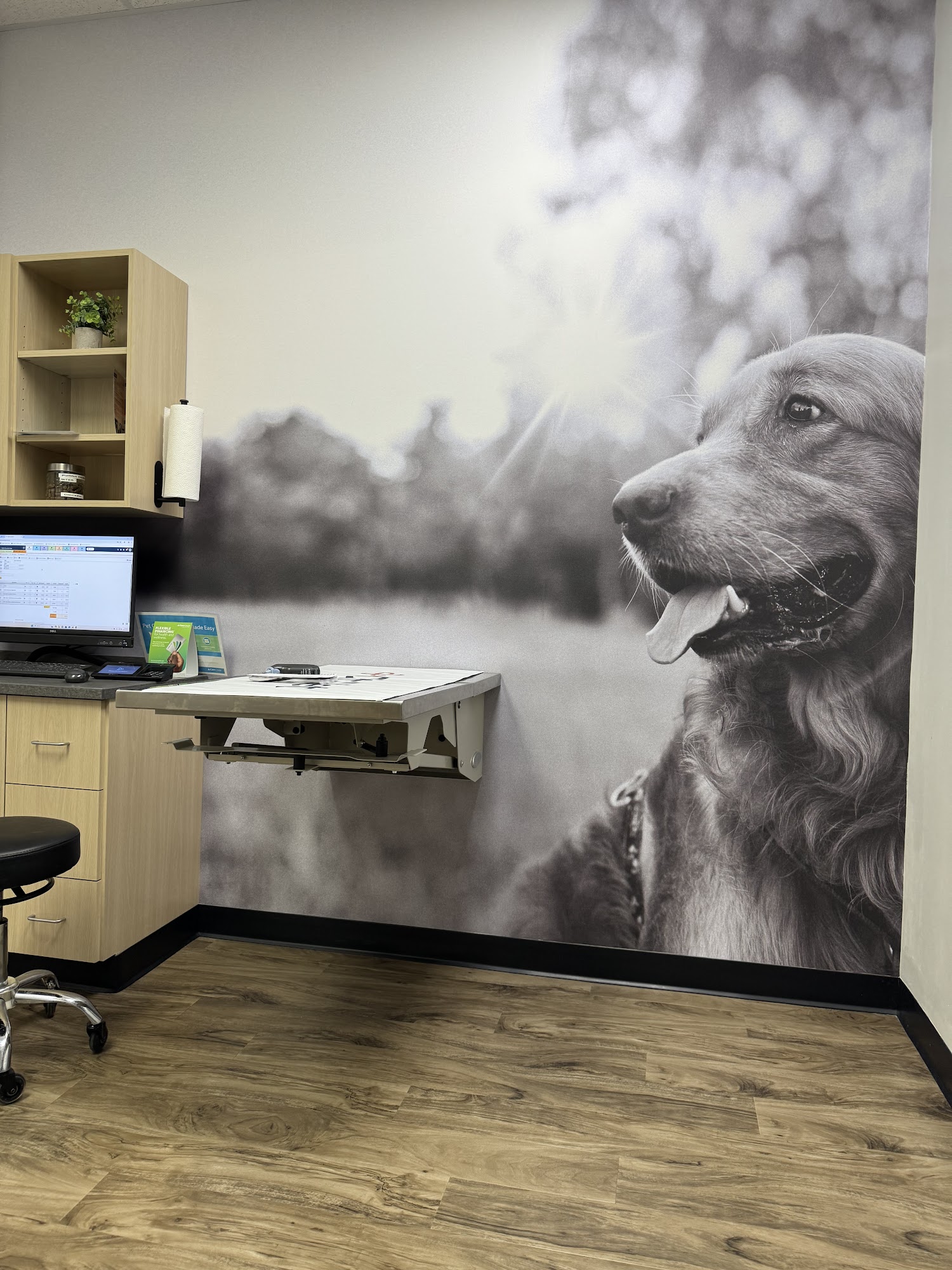 CityVet | Chandler Veterinary & Urgent Care Chandler