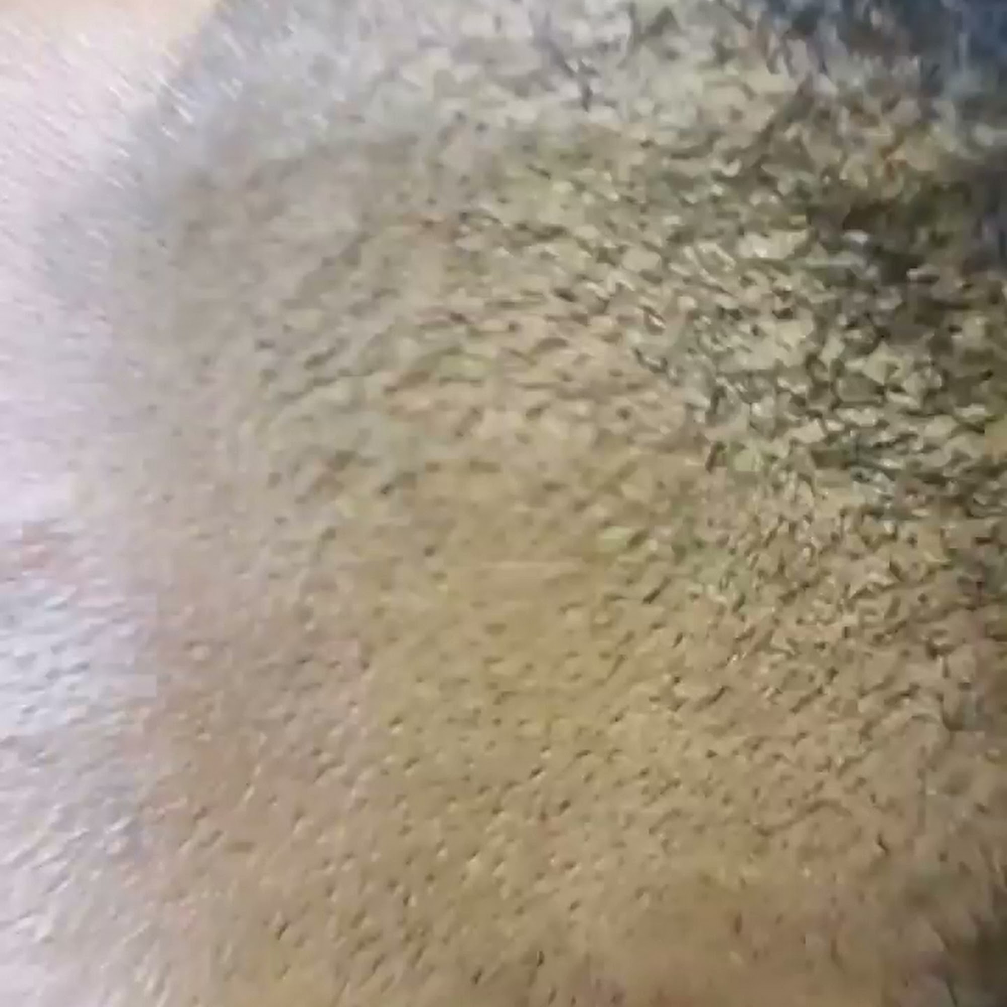 Immaculatejoe's Hair Studio LLC