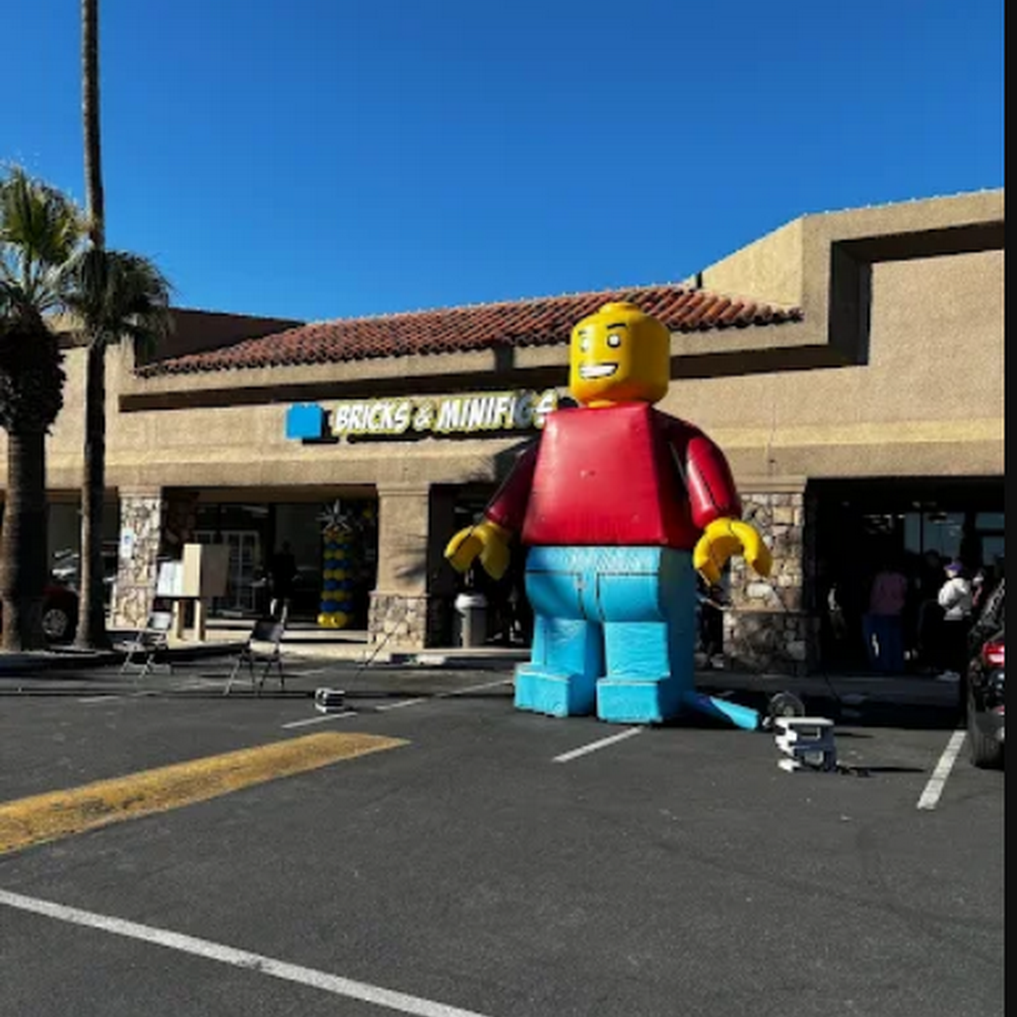 Bricks & Minifigs Chandler Chandler