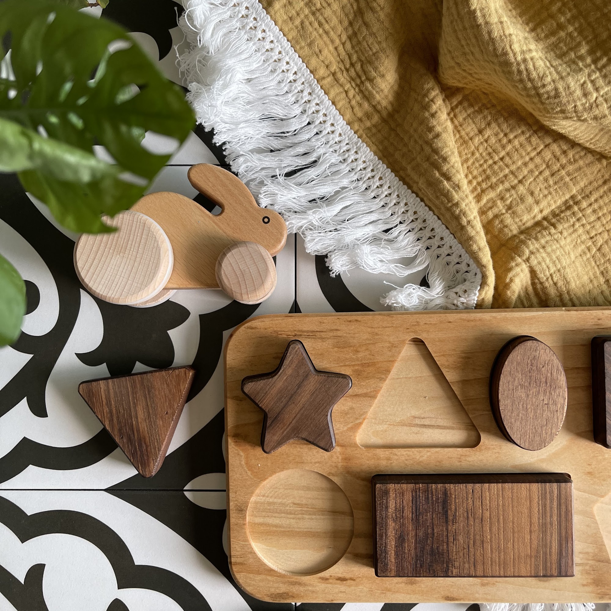 Coyote Kids Shop Chandler