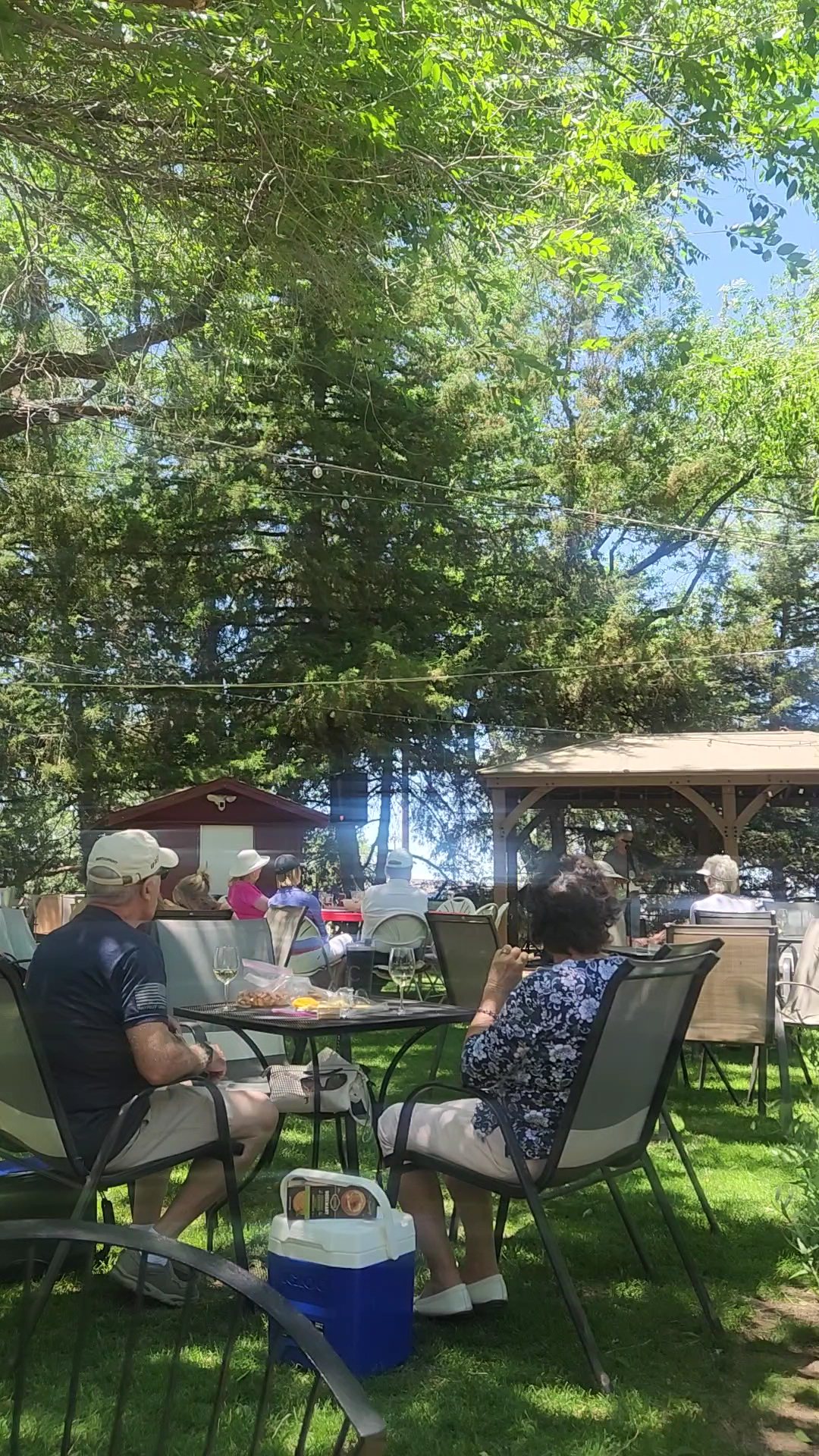 Winey Cats at Granite Creek Vineyards Menu