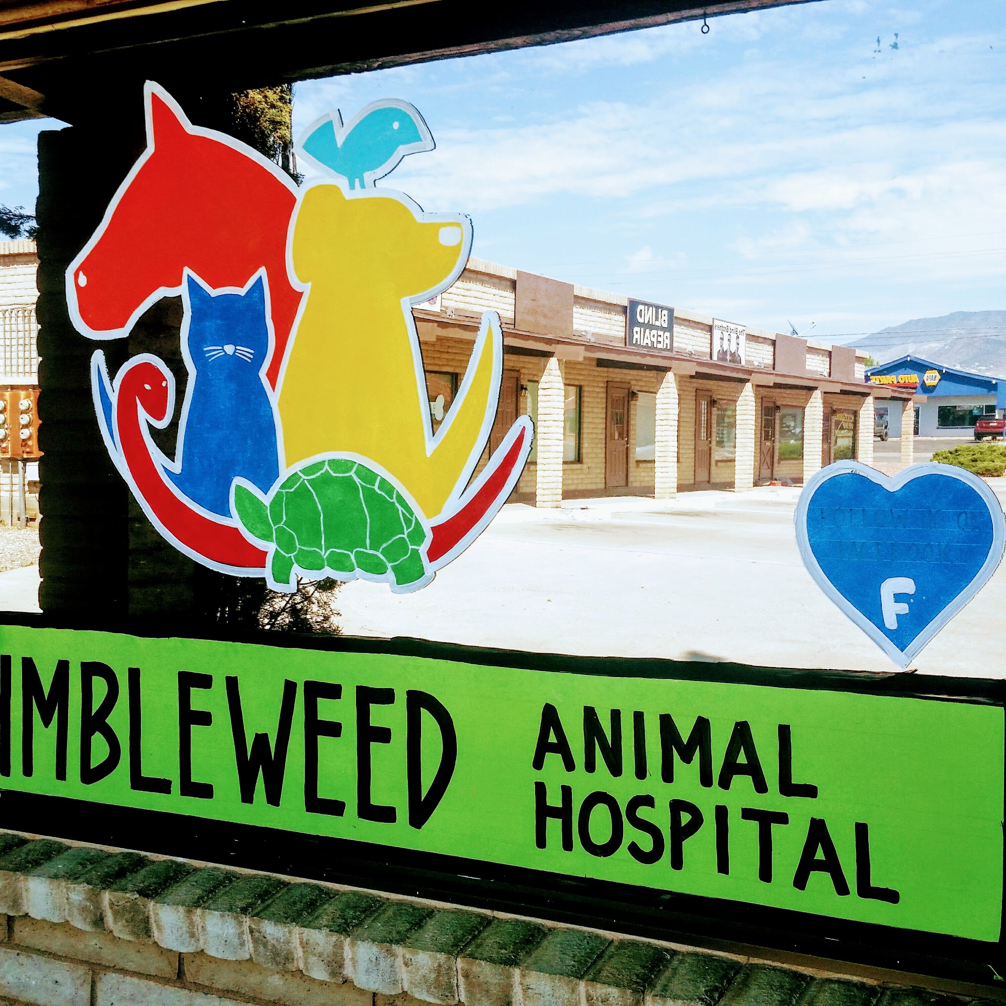 Tumbleweed Veterinary Clinic Cottonwood
