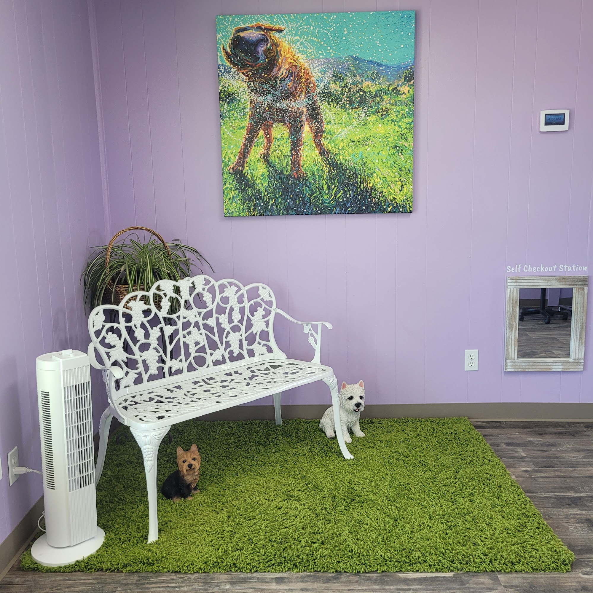 Little Yellow House Pet Grooming Cottonwood