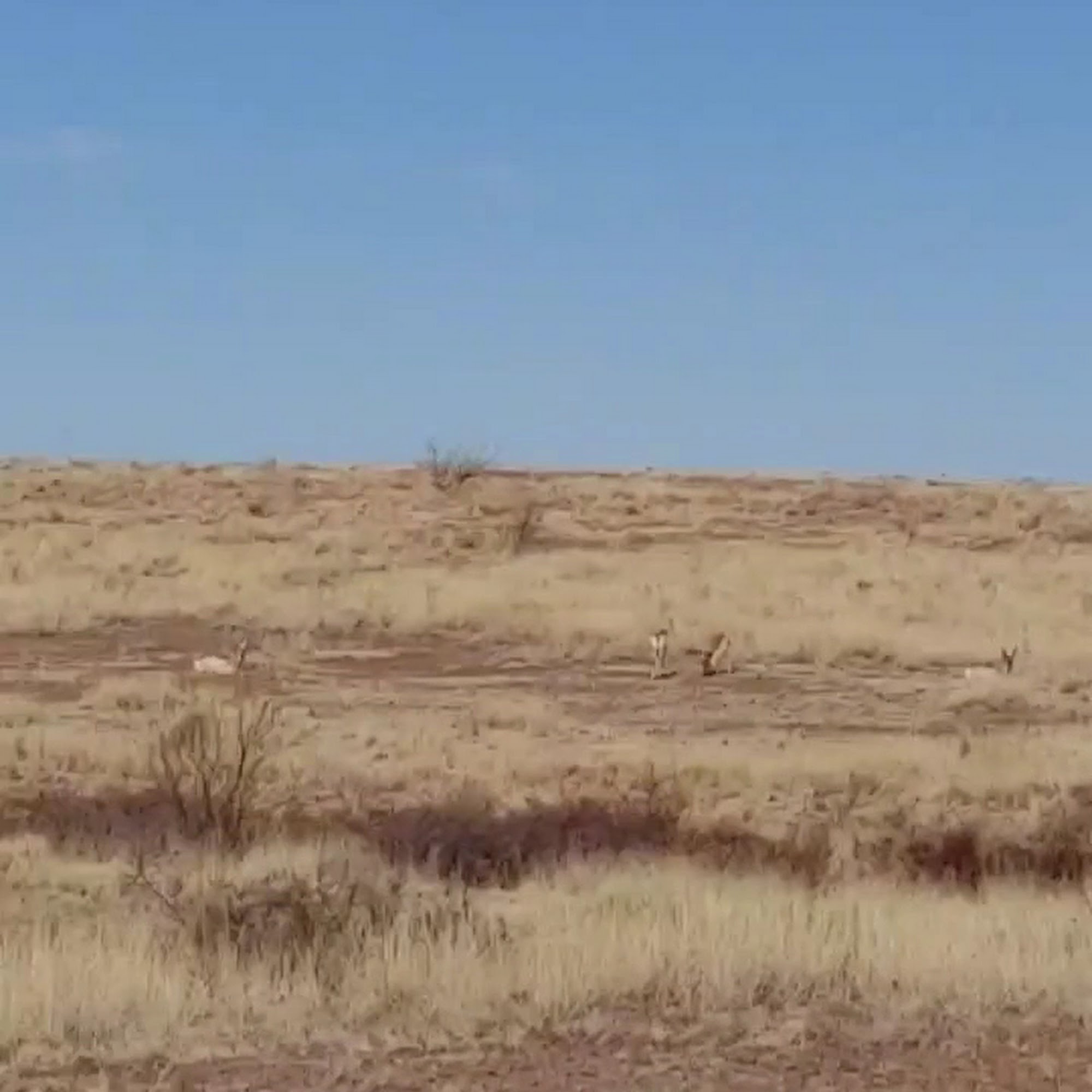 Sonoita Vineyards Elgin