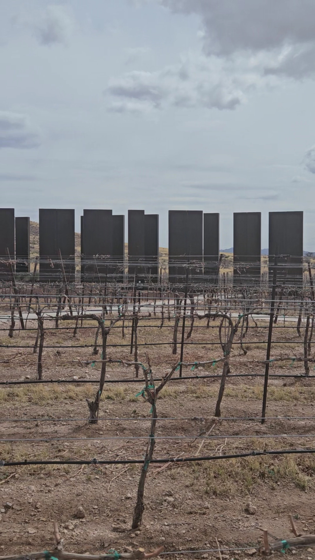 Los Milics Vineyards Menu