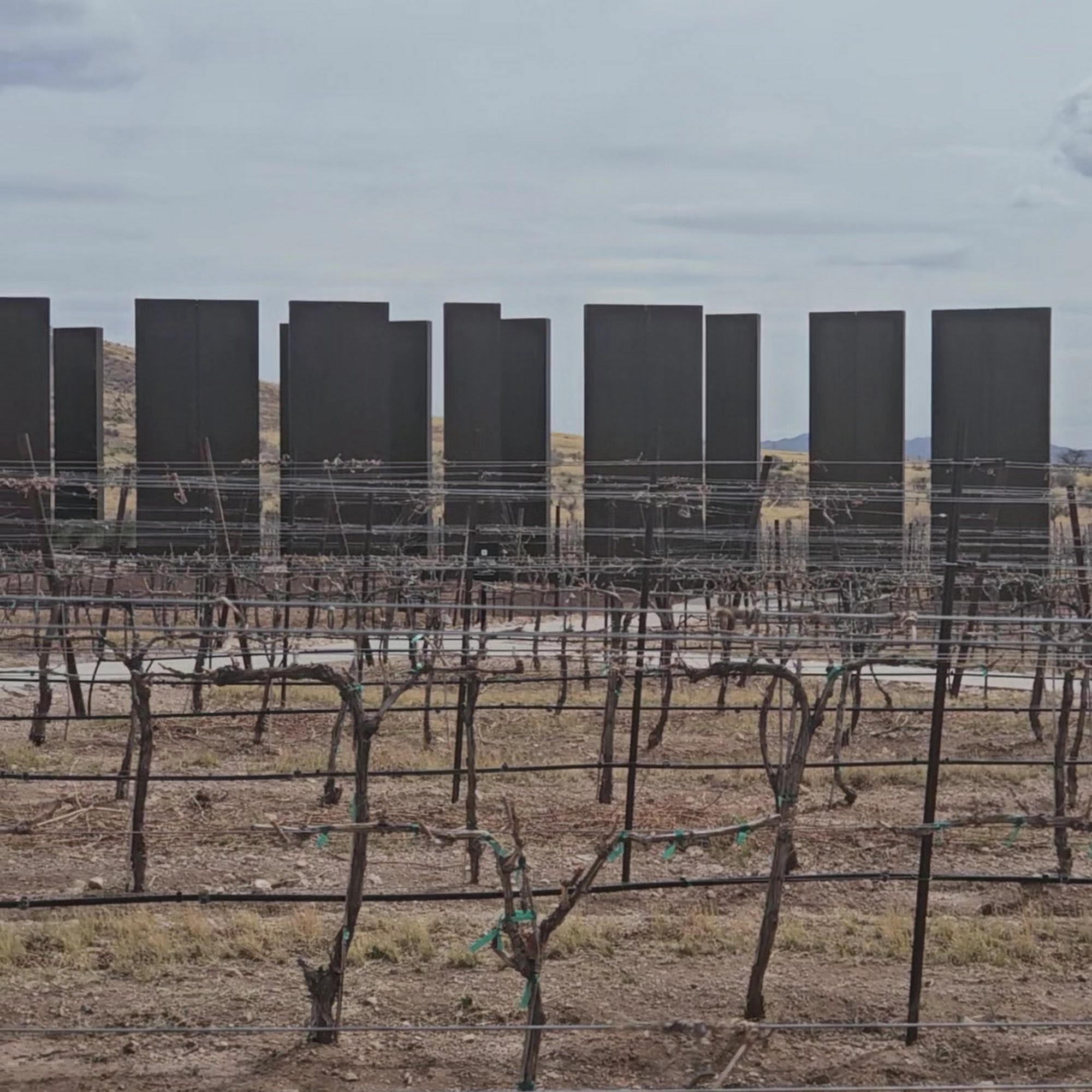 Los Milics Vineyards Elgin