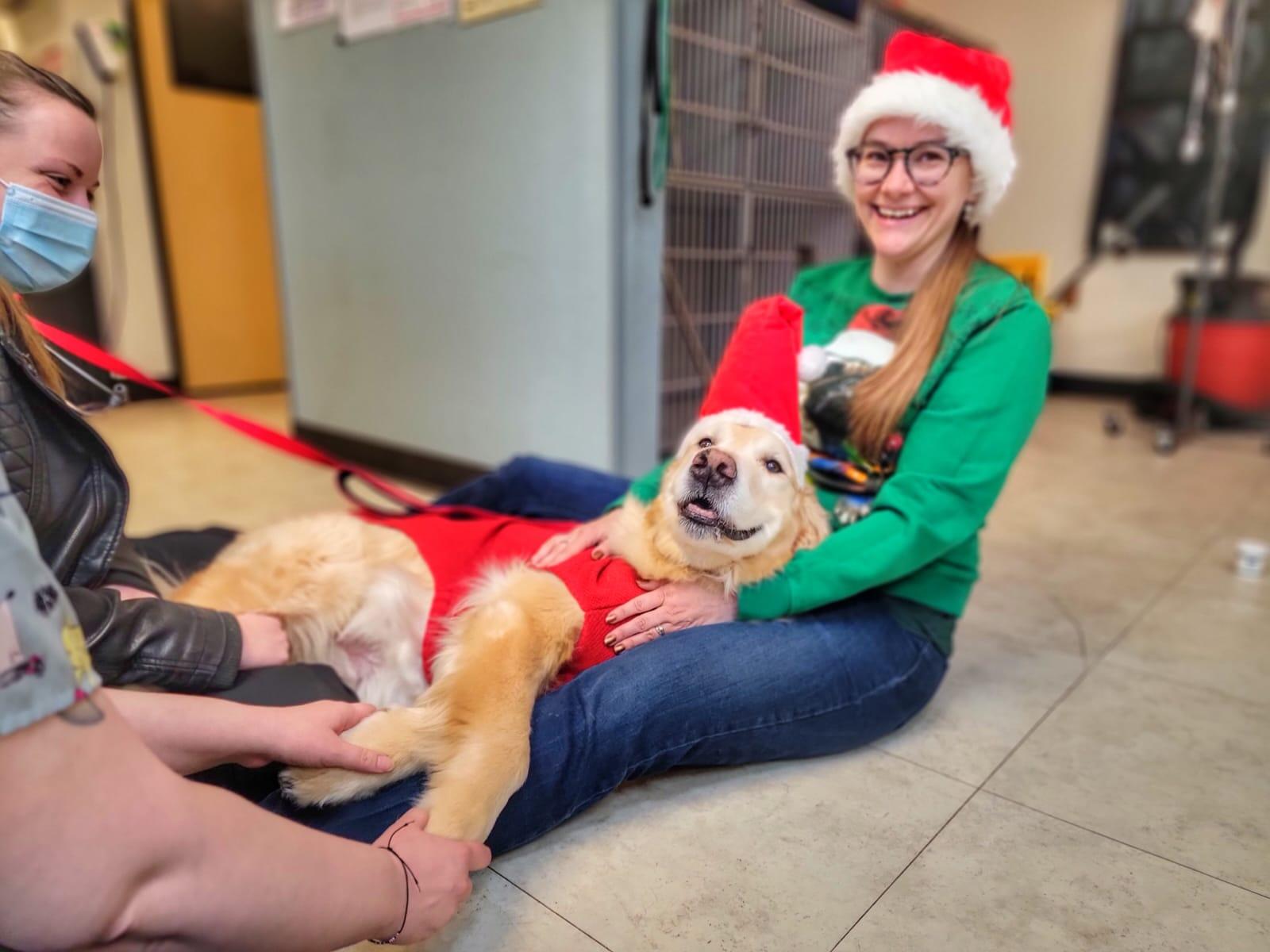 Mac Kenzie Donald S DVM