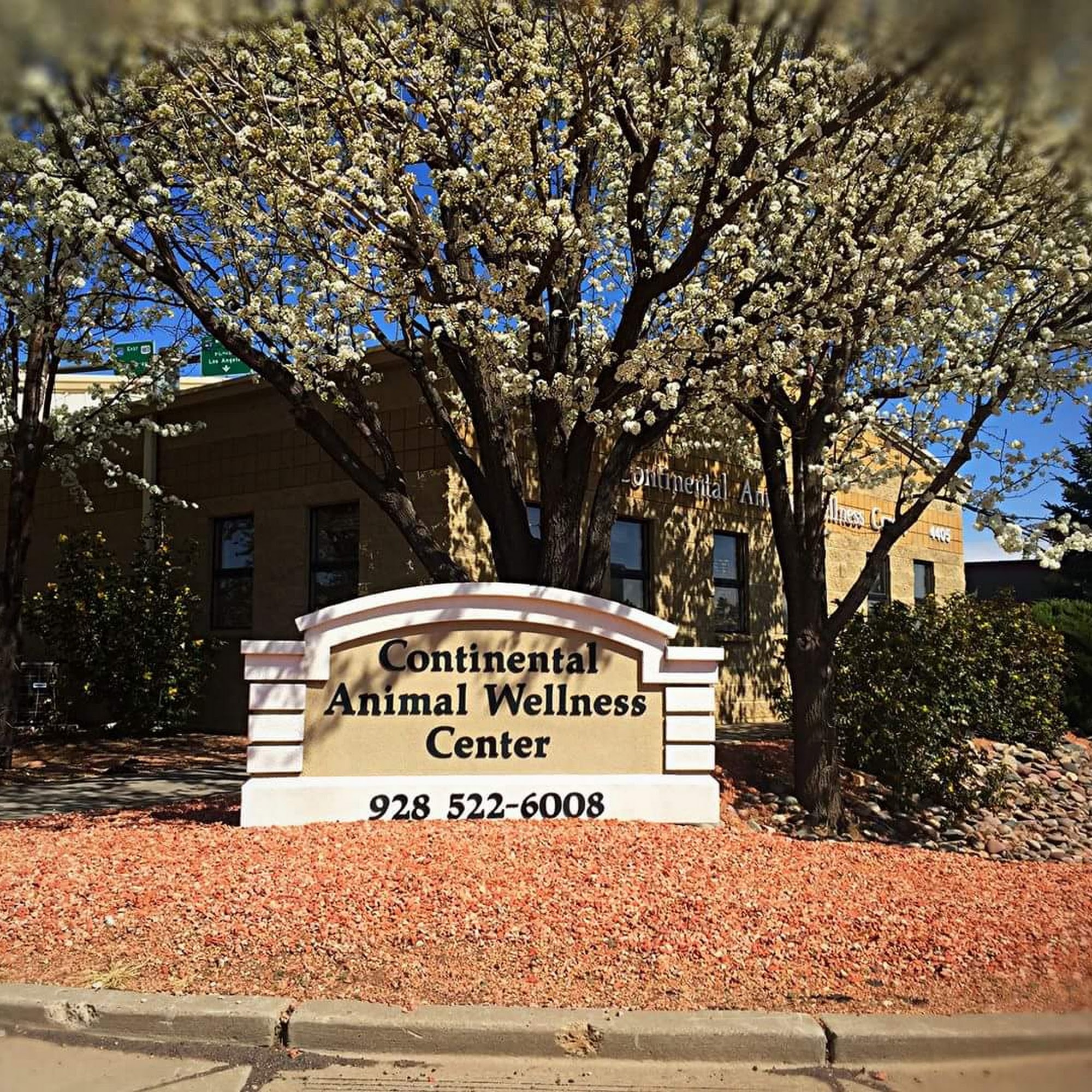 Continental Animal Wellness Center Flagstaff