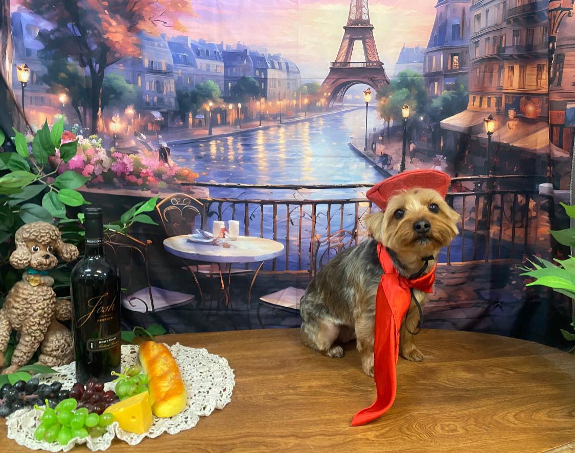 Sugars Grooming Fort Mohave