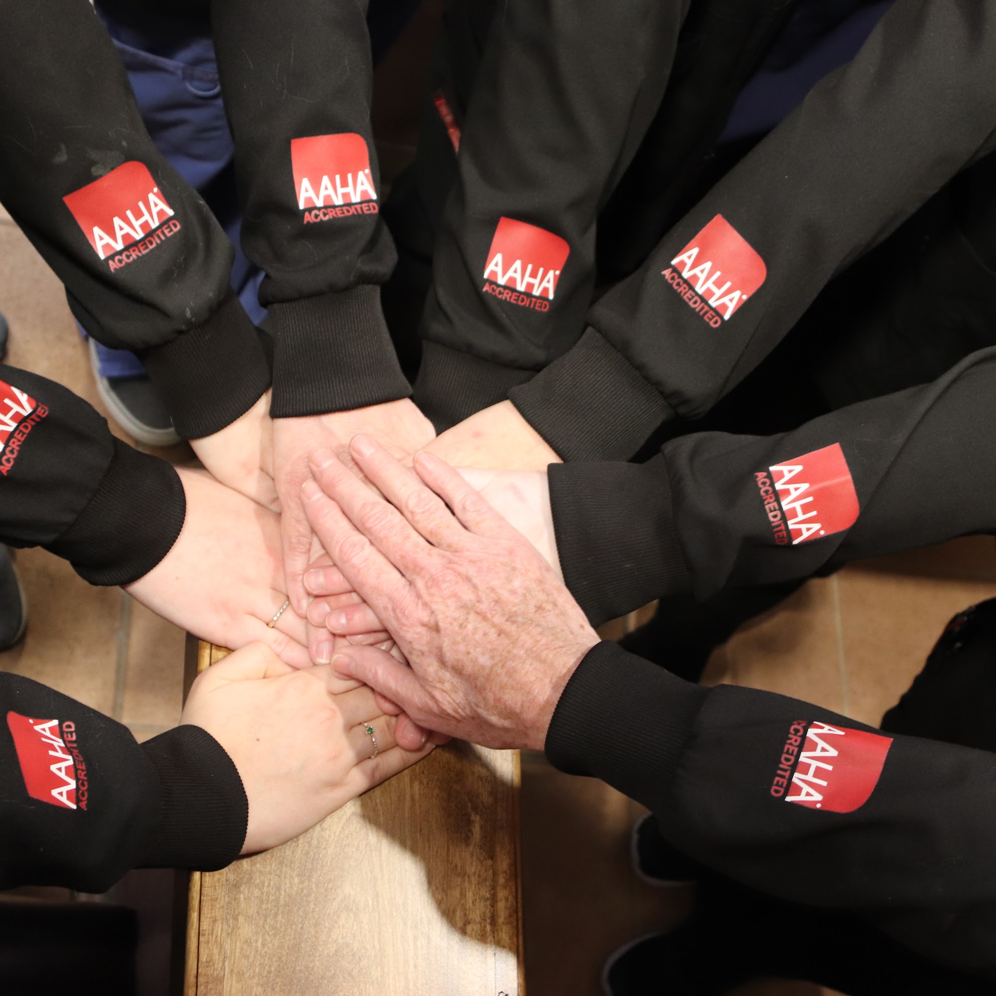 Palisades Veterinary Hospital Fountain Hills