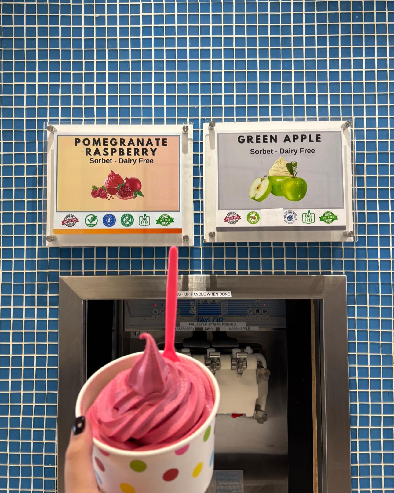 Oyo Frozen Yogurt Fountain Hills