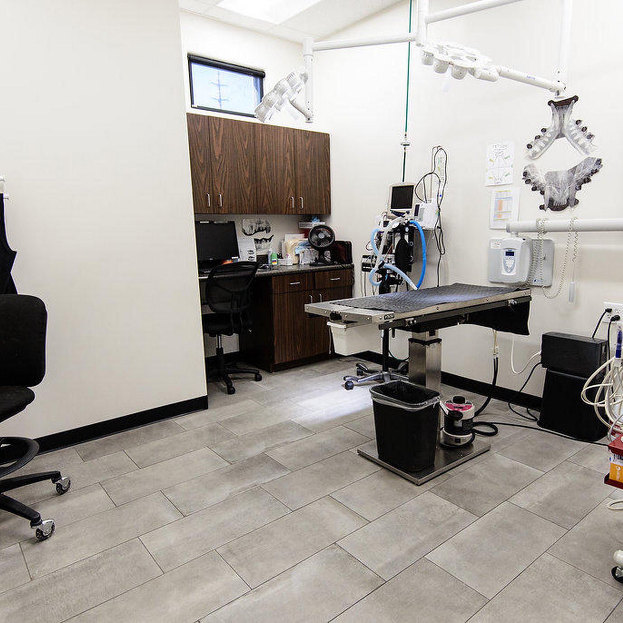 Val Vista Animal Hospital Gilbert