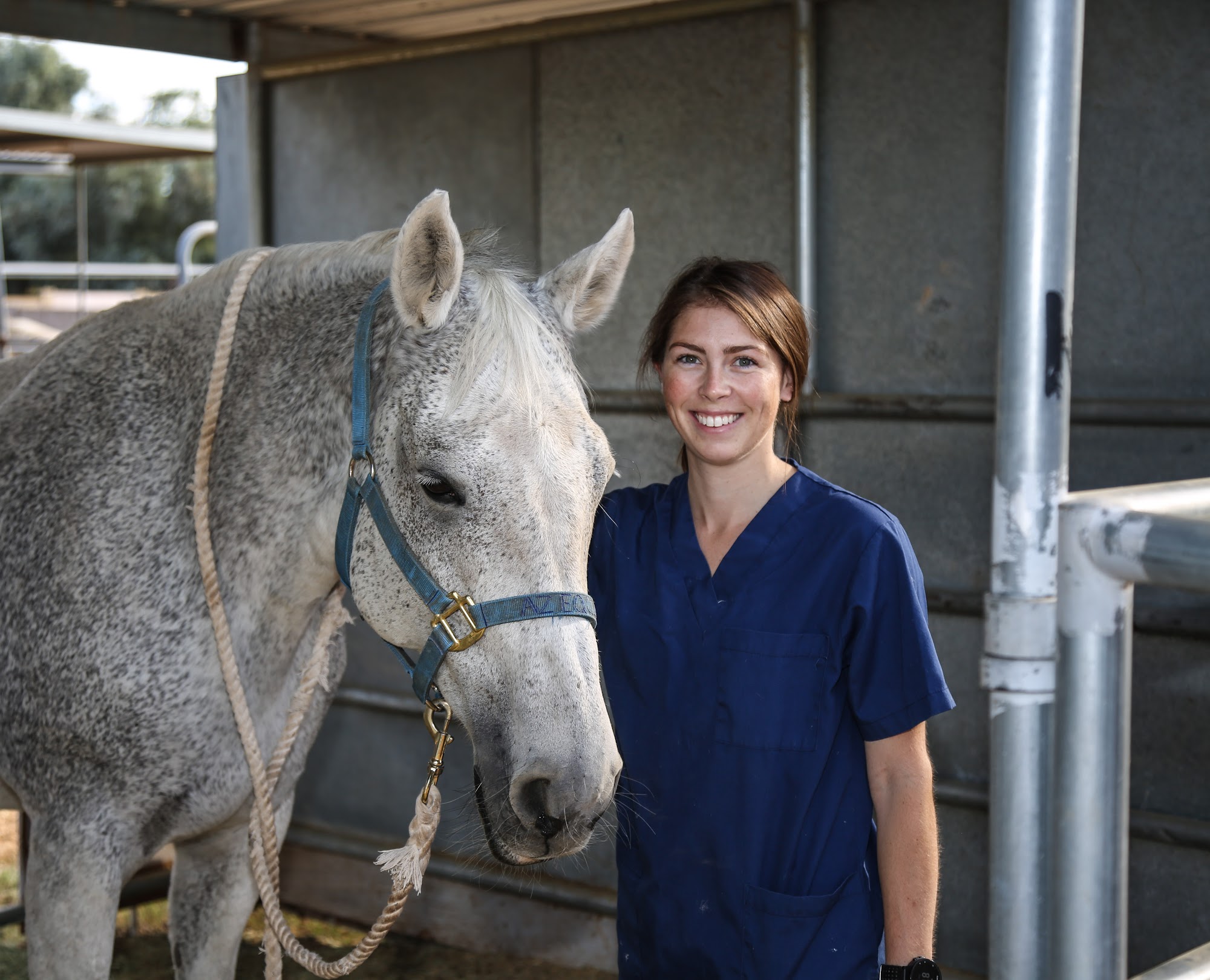 Arizona Equine Medical & Surgical Centre Gilbert