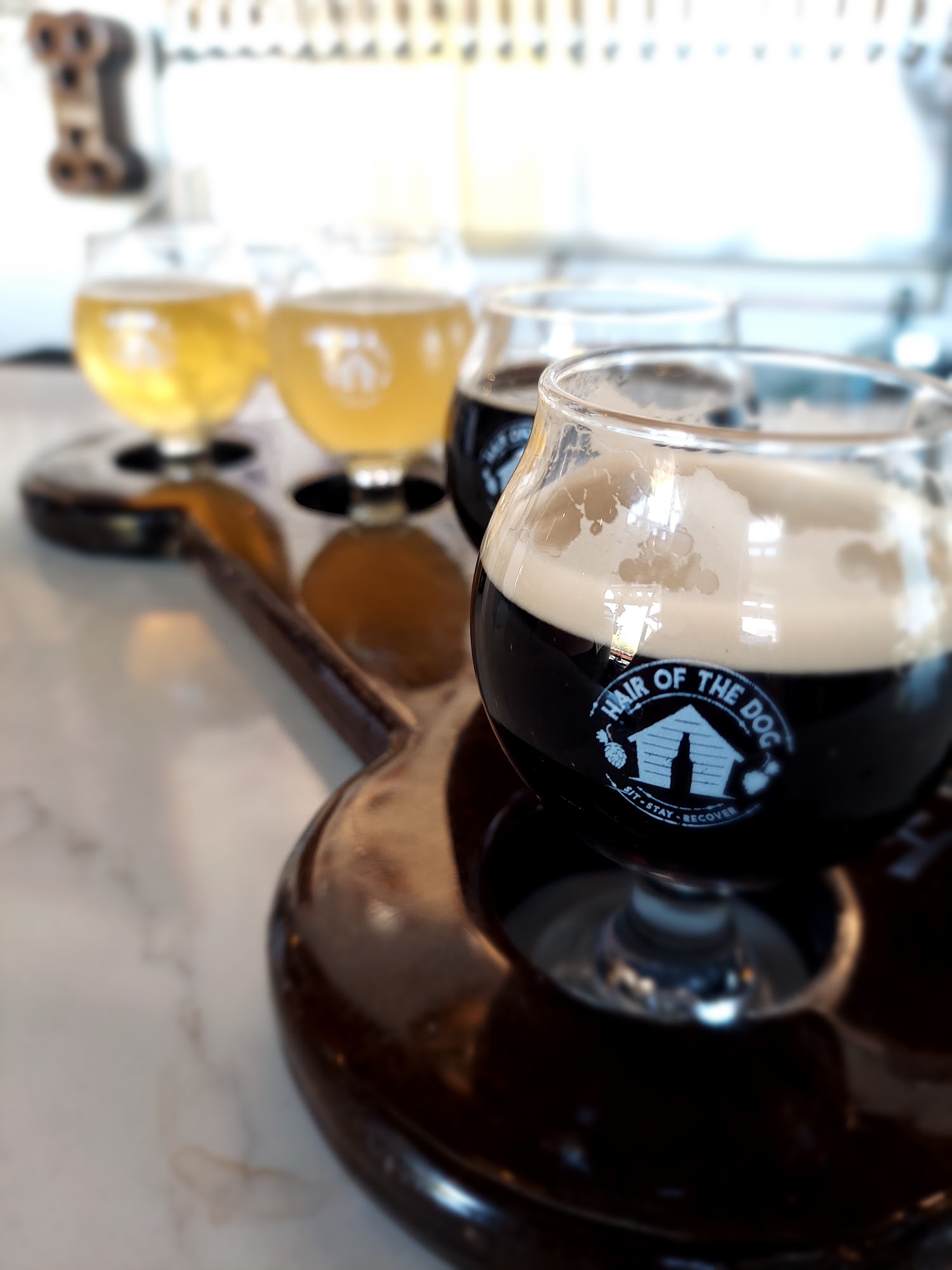 Hair of the Dog Gilbert, AZ - Coffee, Wine, Beer Gilbert