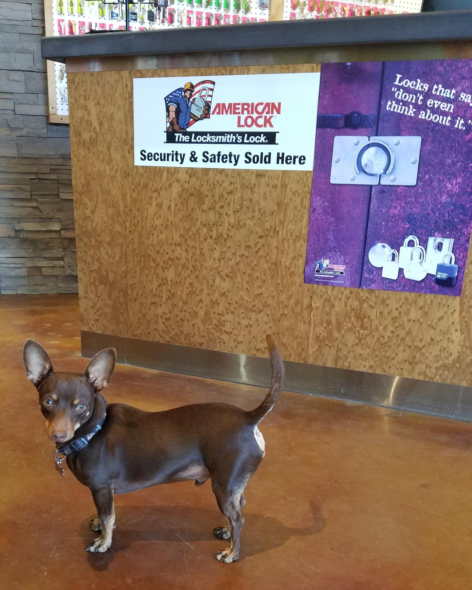 Photo credit: nextdoor