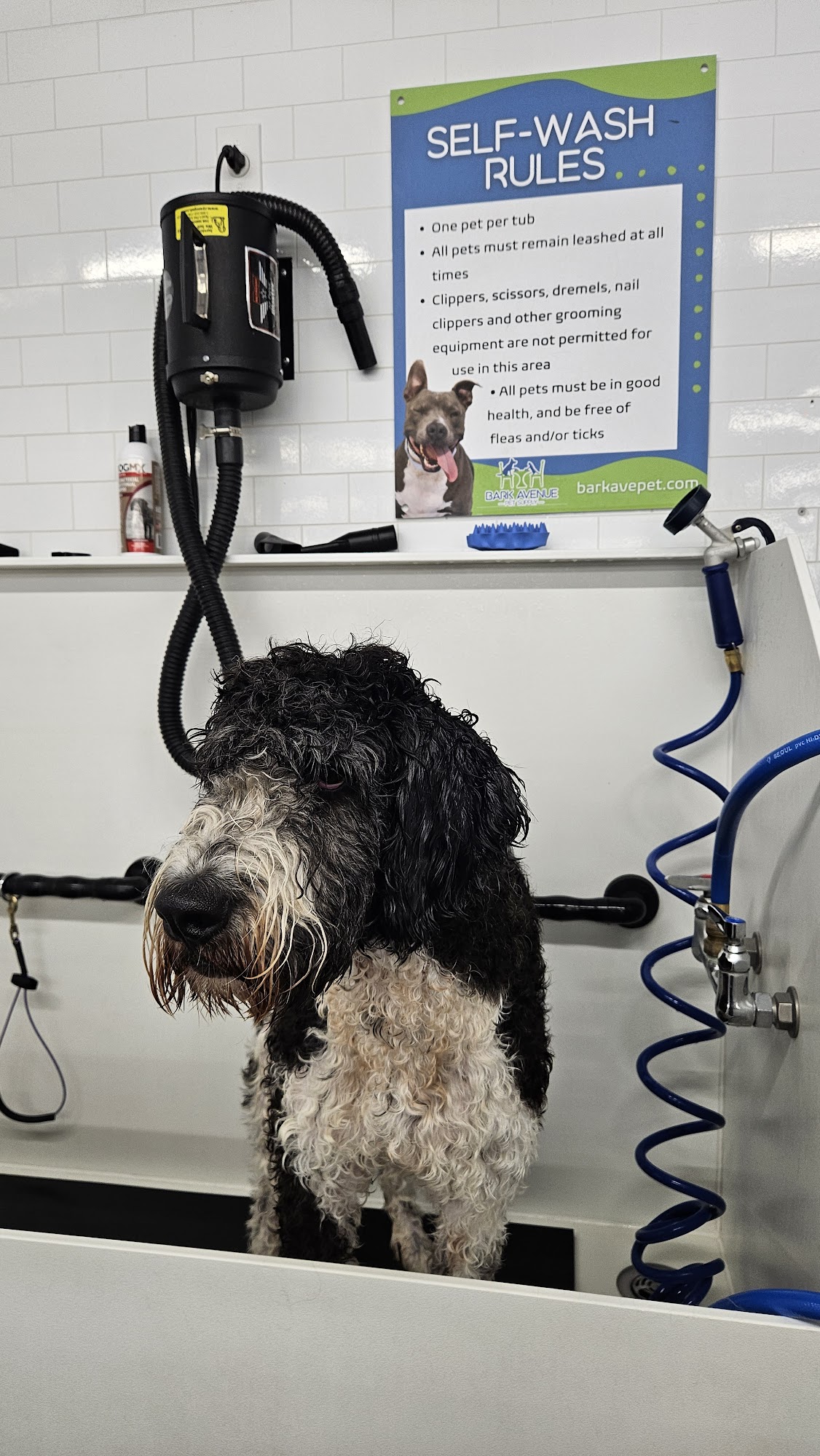 Bark Avenue Pet Supply - Gilbert Gilbert