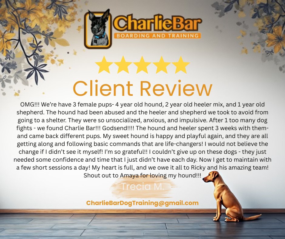 CharlieBar Dog Boarding & Training Gilbert
