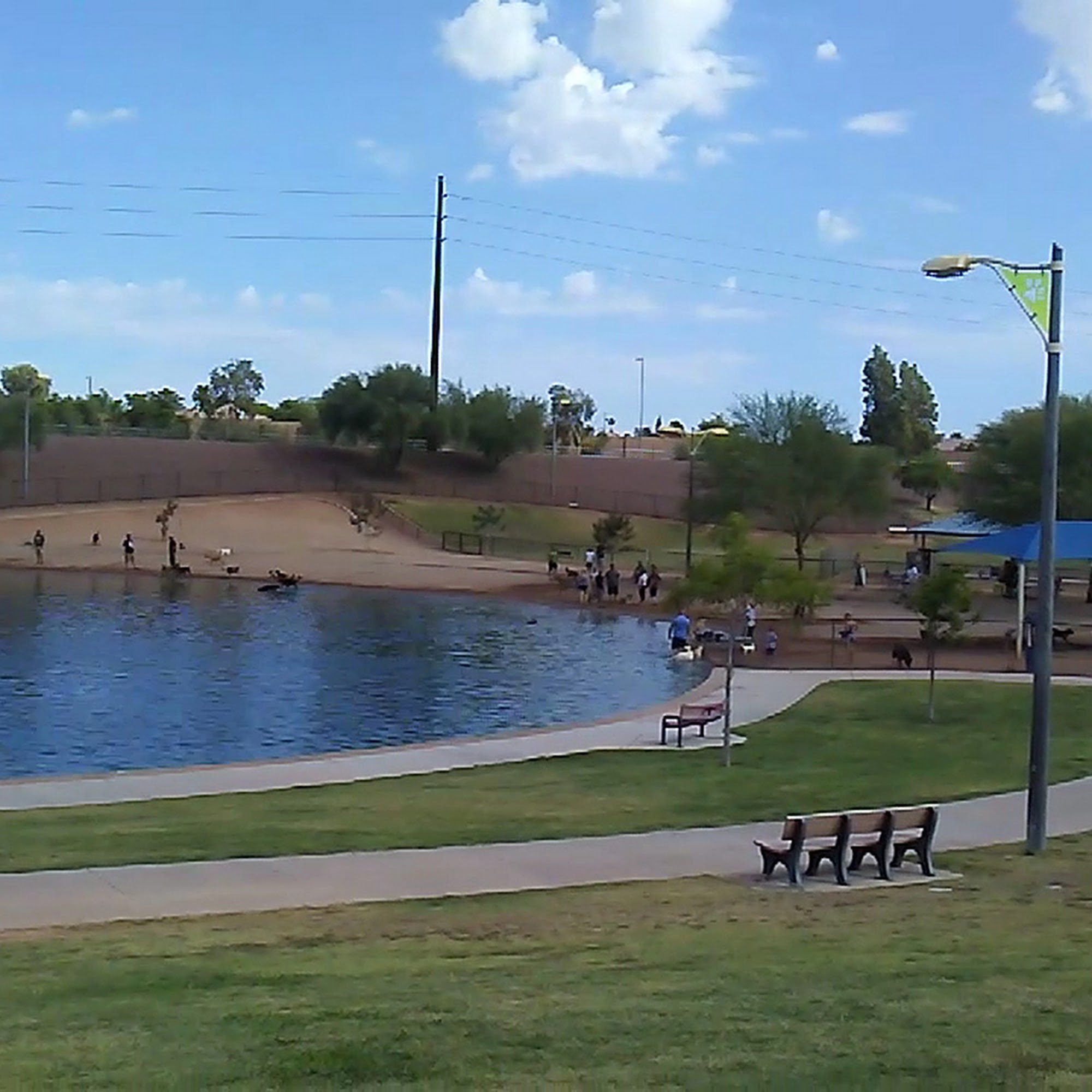 Cosmo Dog Park Gilbert