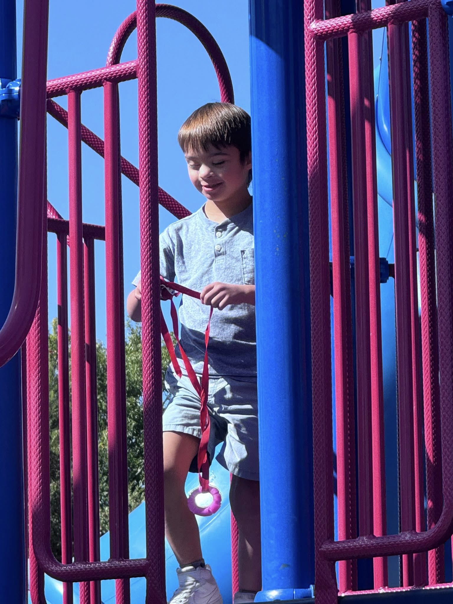 Packard Custom Landscaping