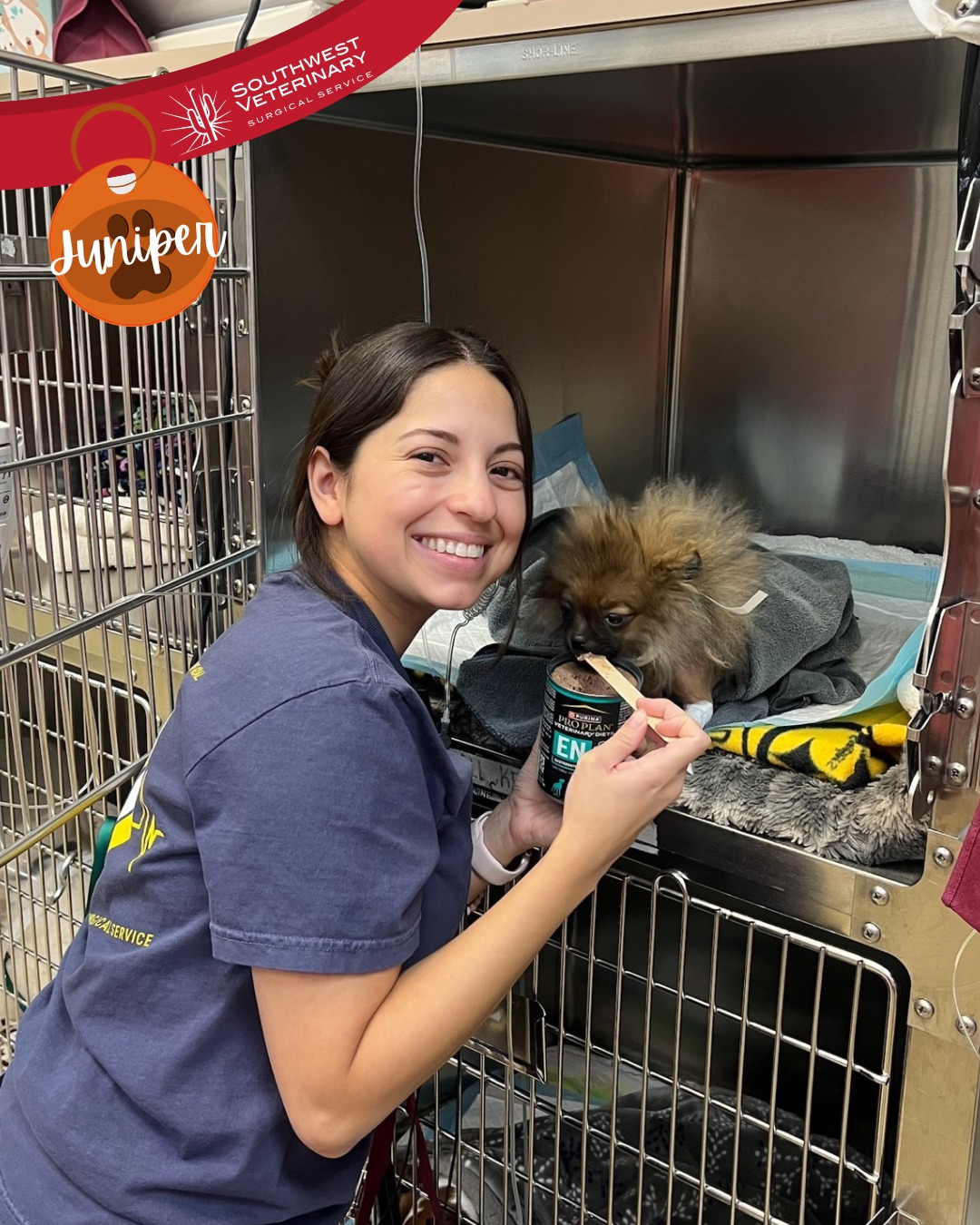 Southwest Veterinary Surgical Service, PC Gilbert