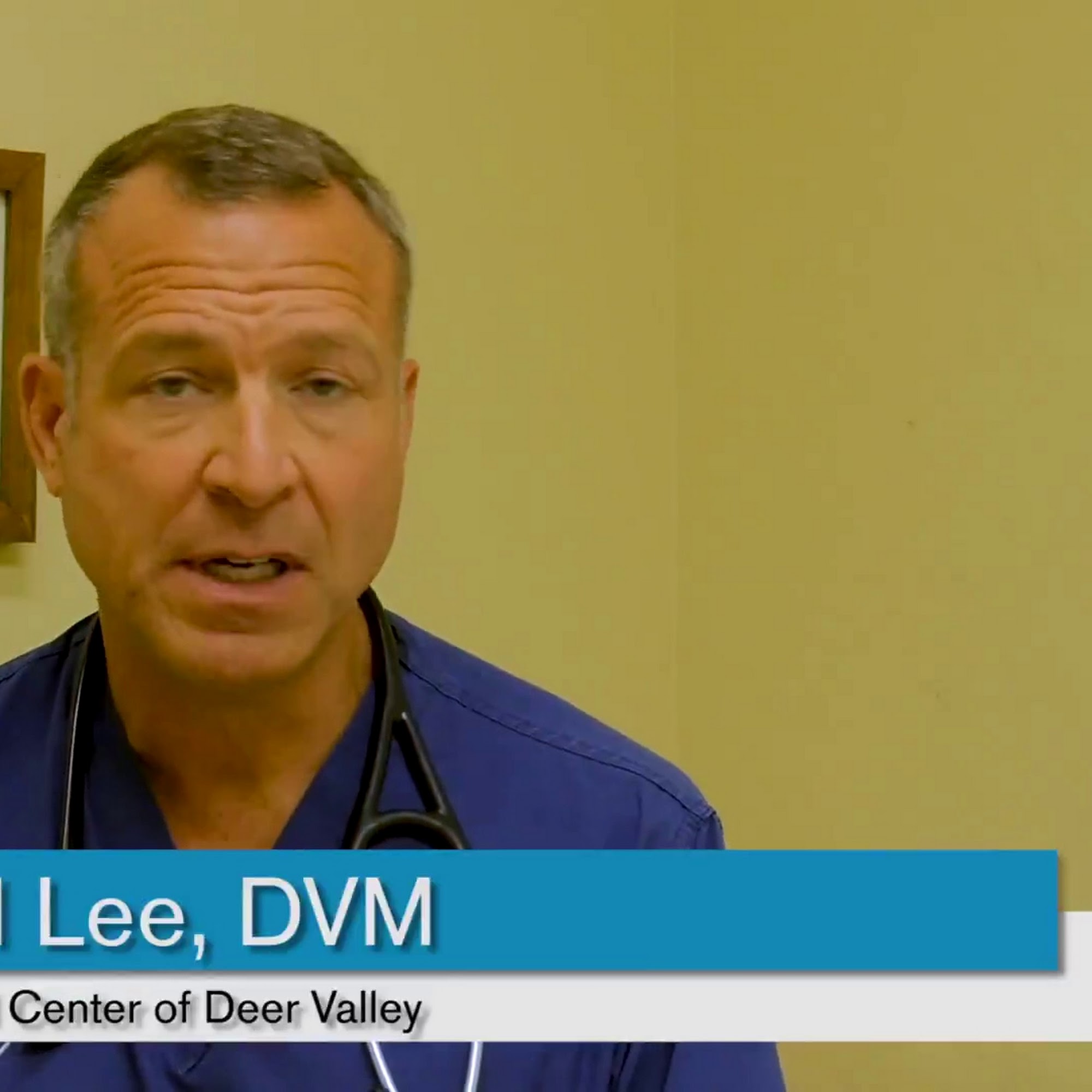 Animal Medical Center of Deer Valley Glendale