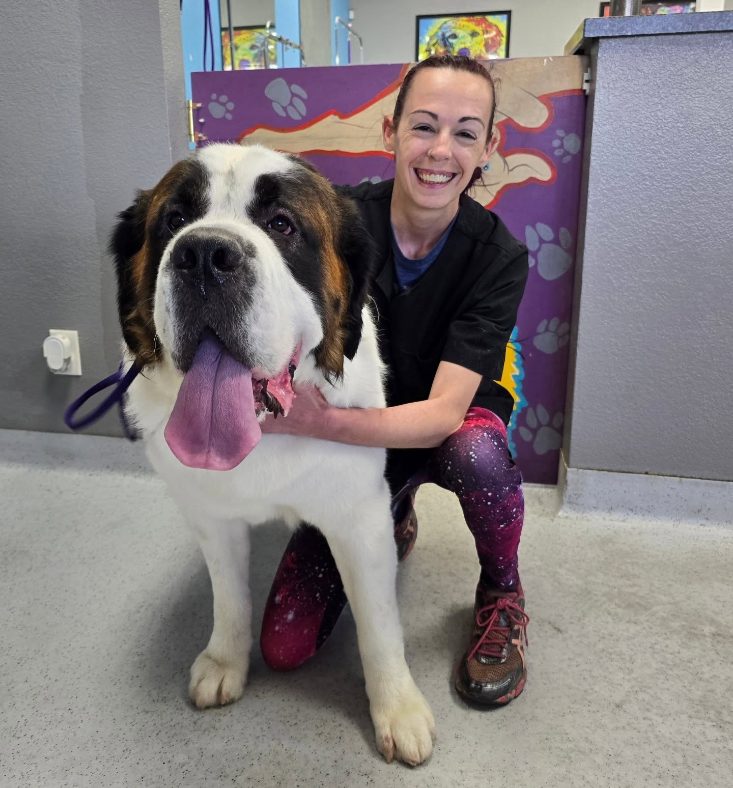 Cut & Dry Pet Salon Glendale