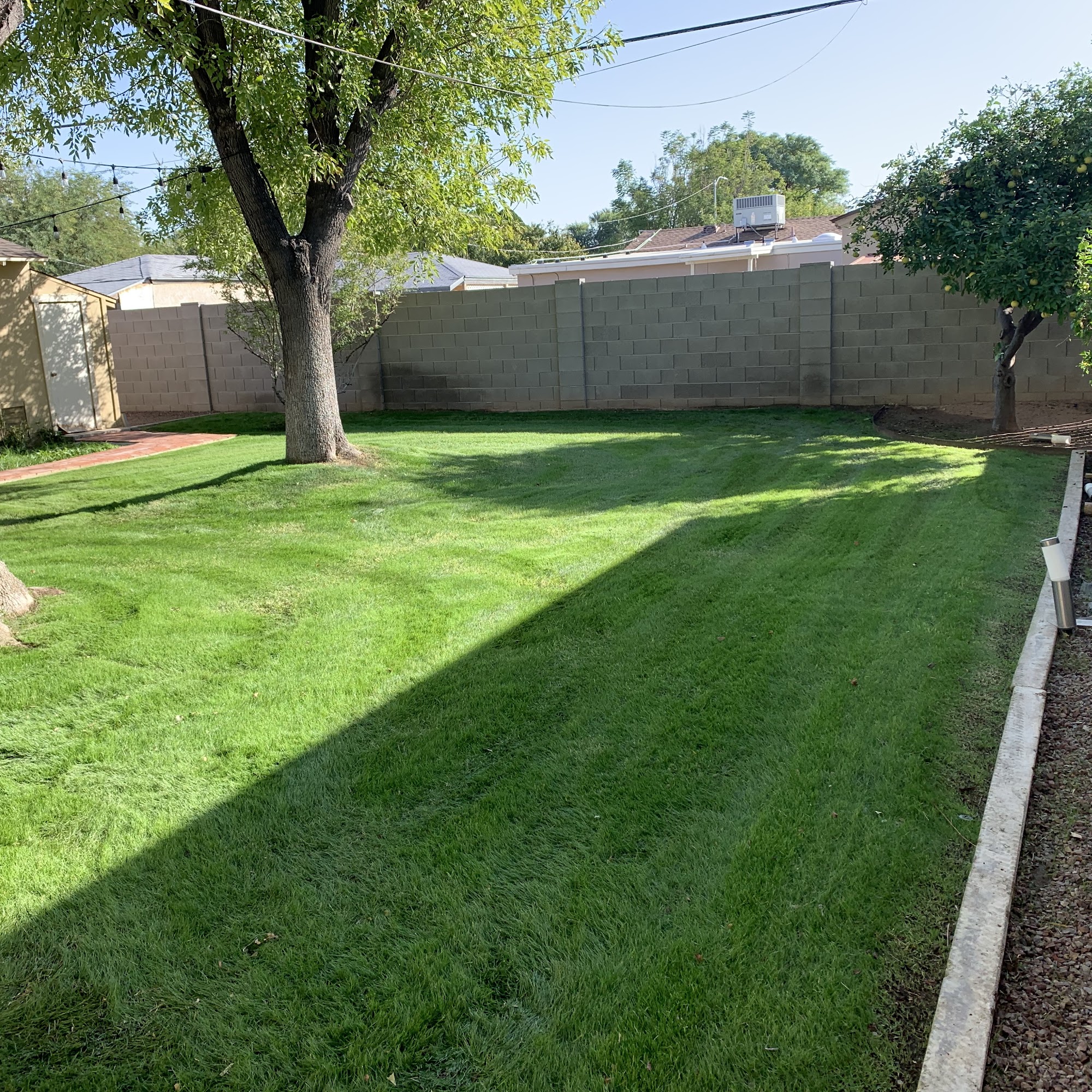 Phoenix Lawn & Landscaping llc