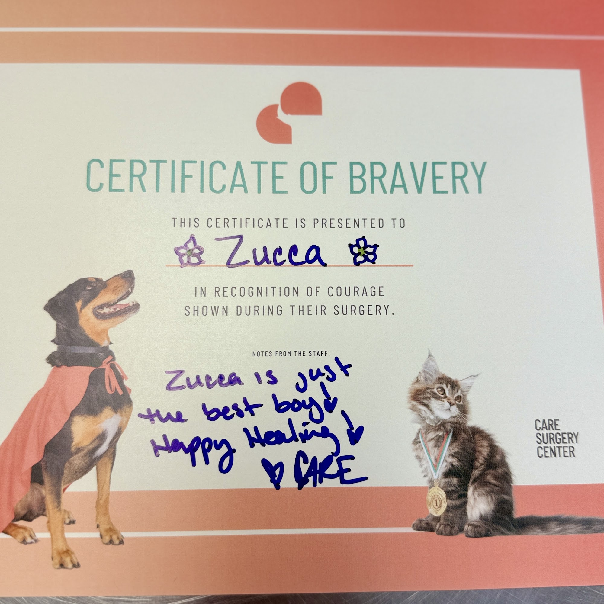 CARE Animal Surgery Center Glendale