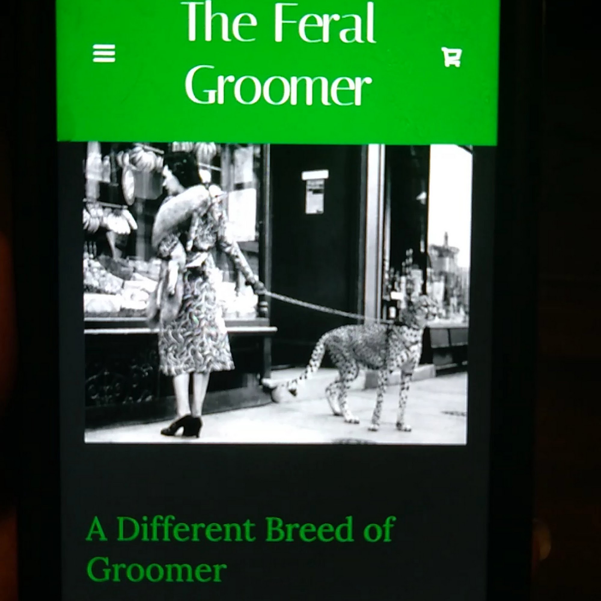 The Groomer Glendale