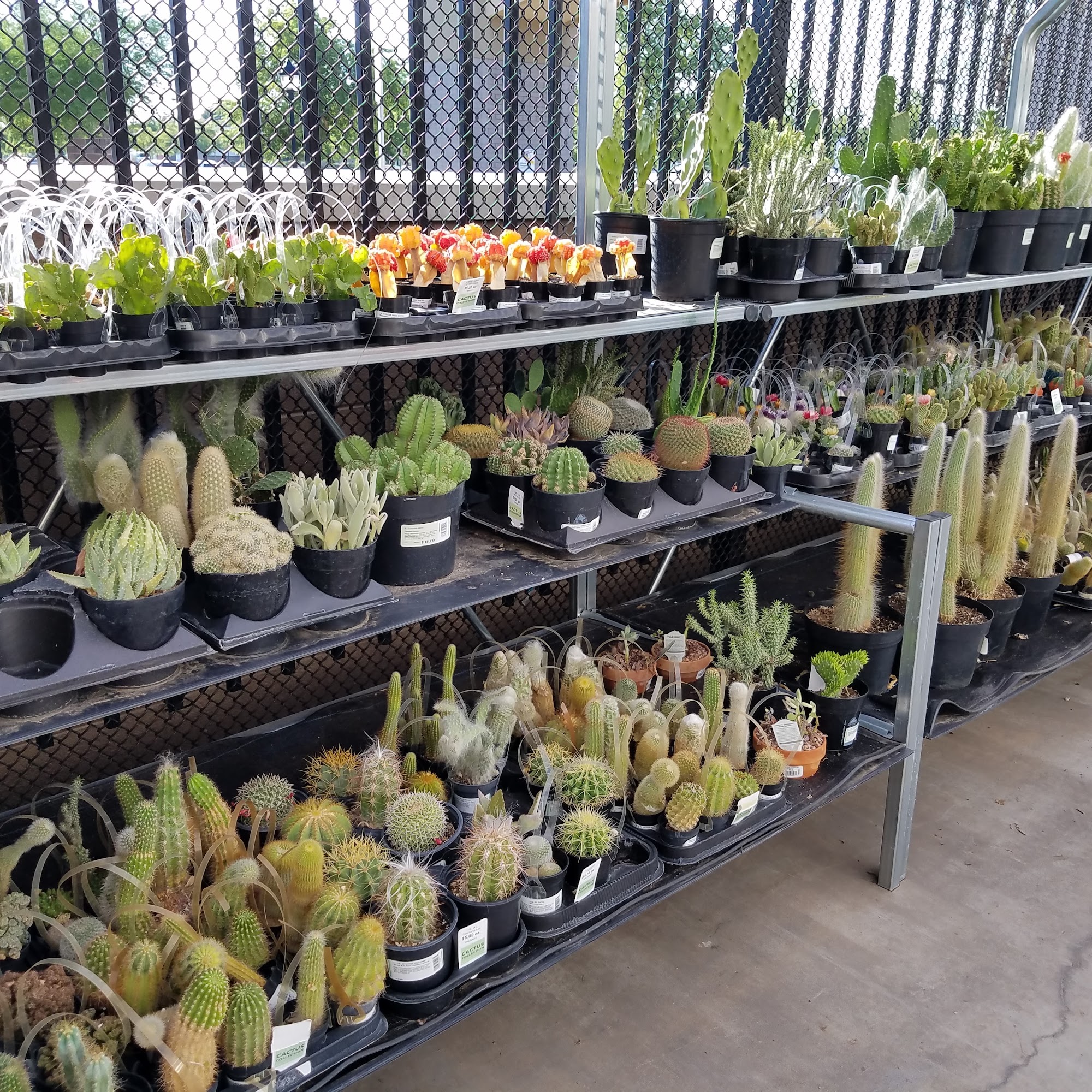 Walmart Garden Center