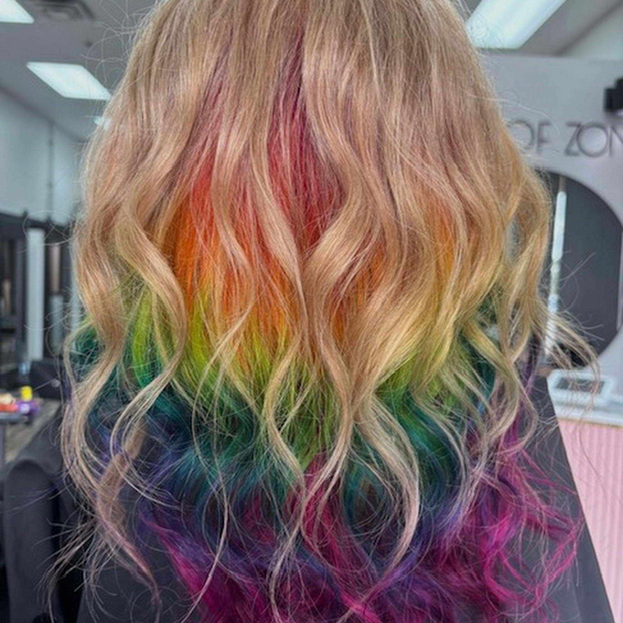 Hair of Zona 6780 W Deer Valley Rd, Glendale Arizona 85310