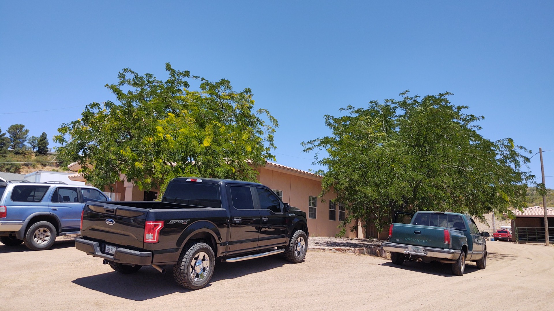 Samaritan Veterinary Center Globe