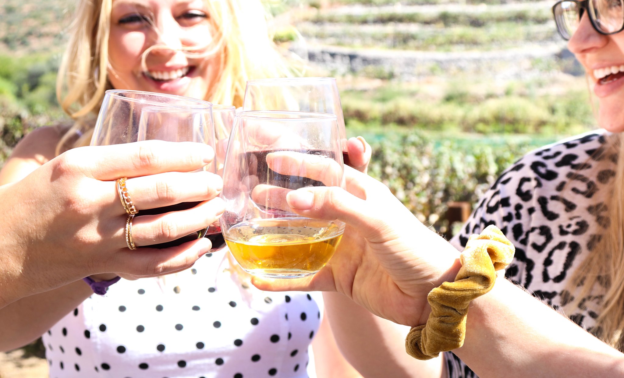 Waggin' Vineyard & Estate Globe