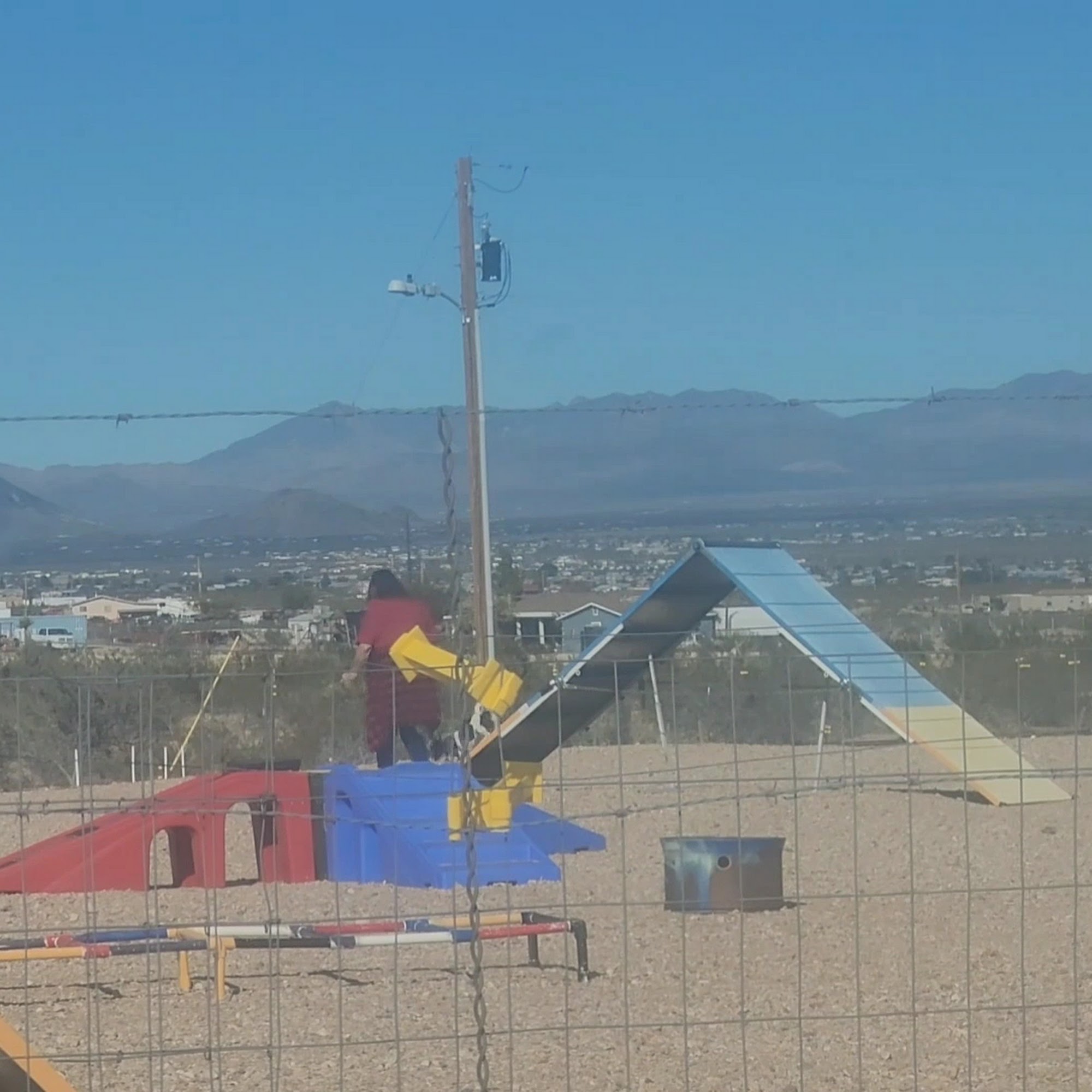 K9 Paws Behavior Dog Training Golden Valley