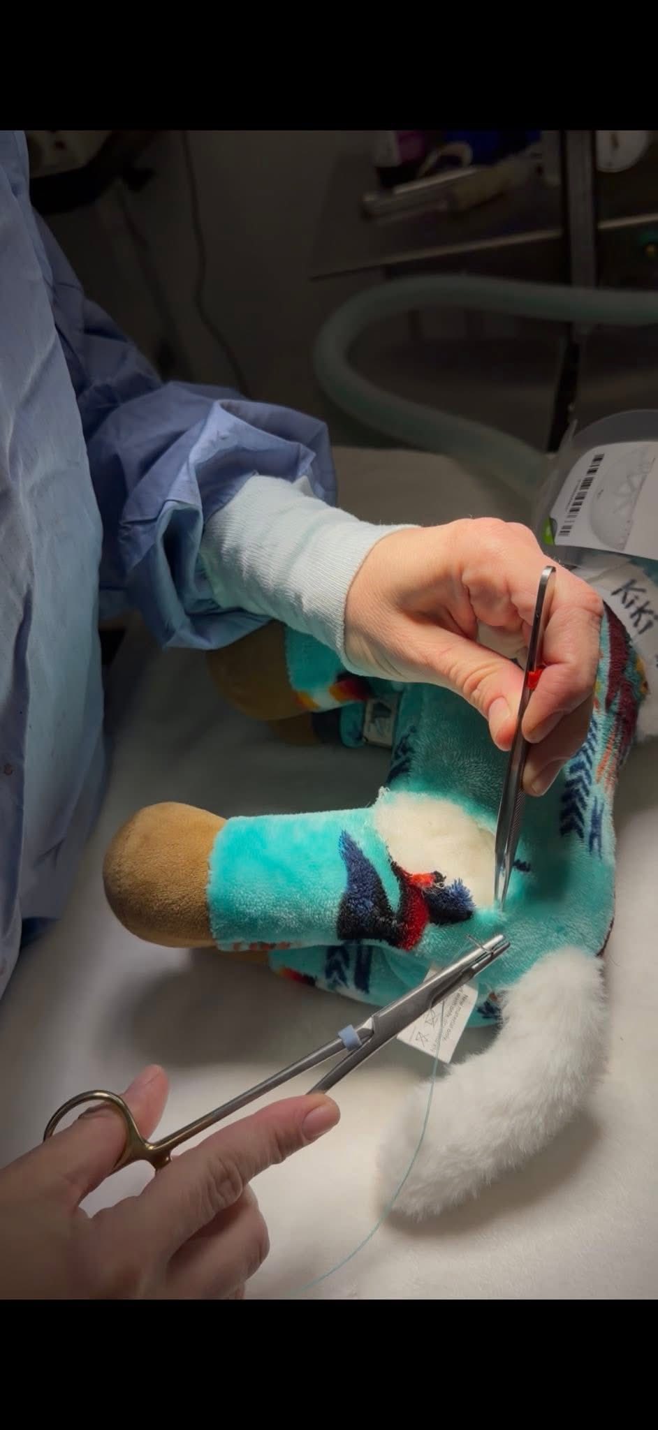 Legacy Animal Hospital Goodyear