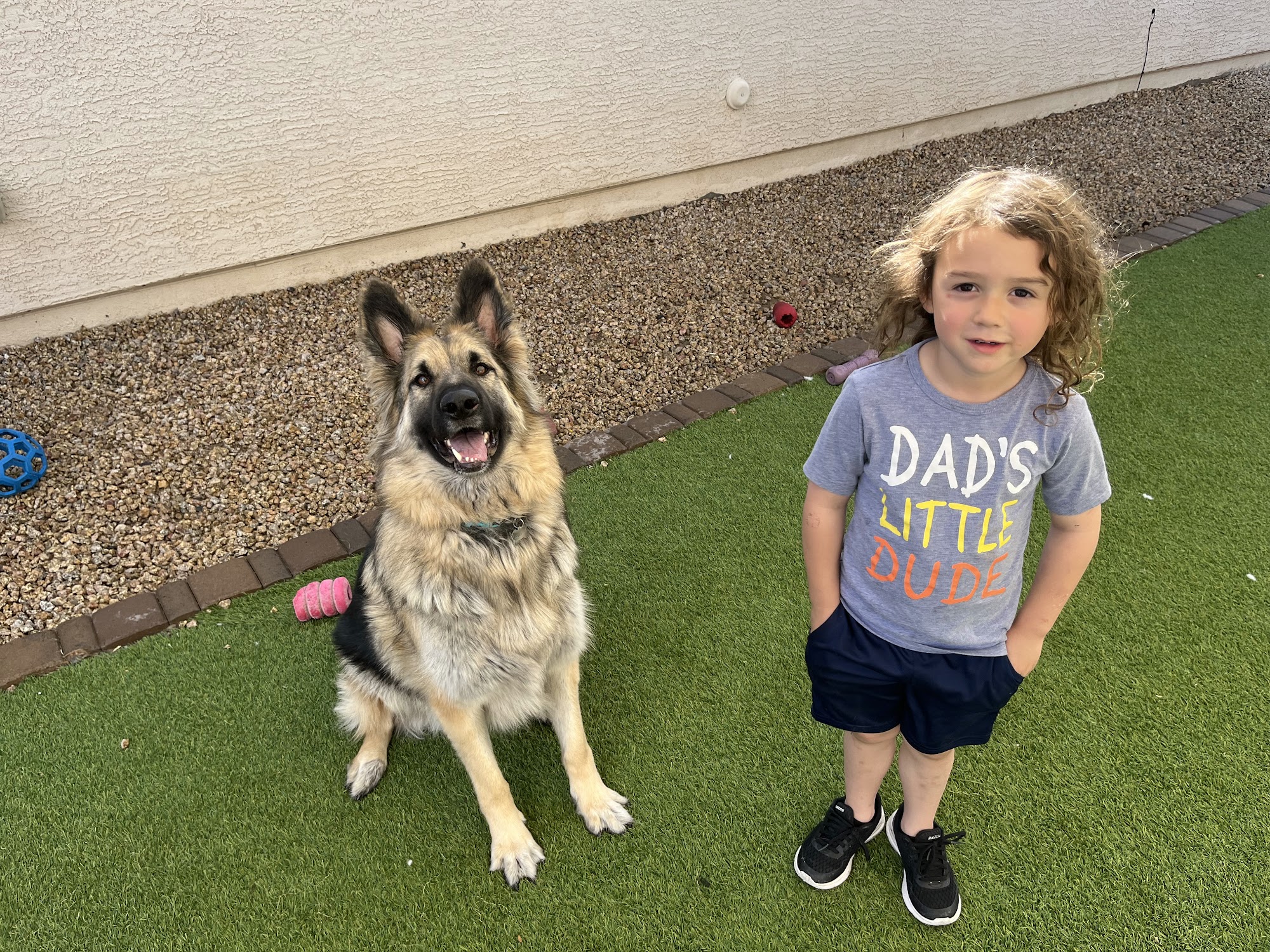 Pat's K9 Training, LLC Goodyear