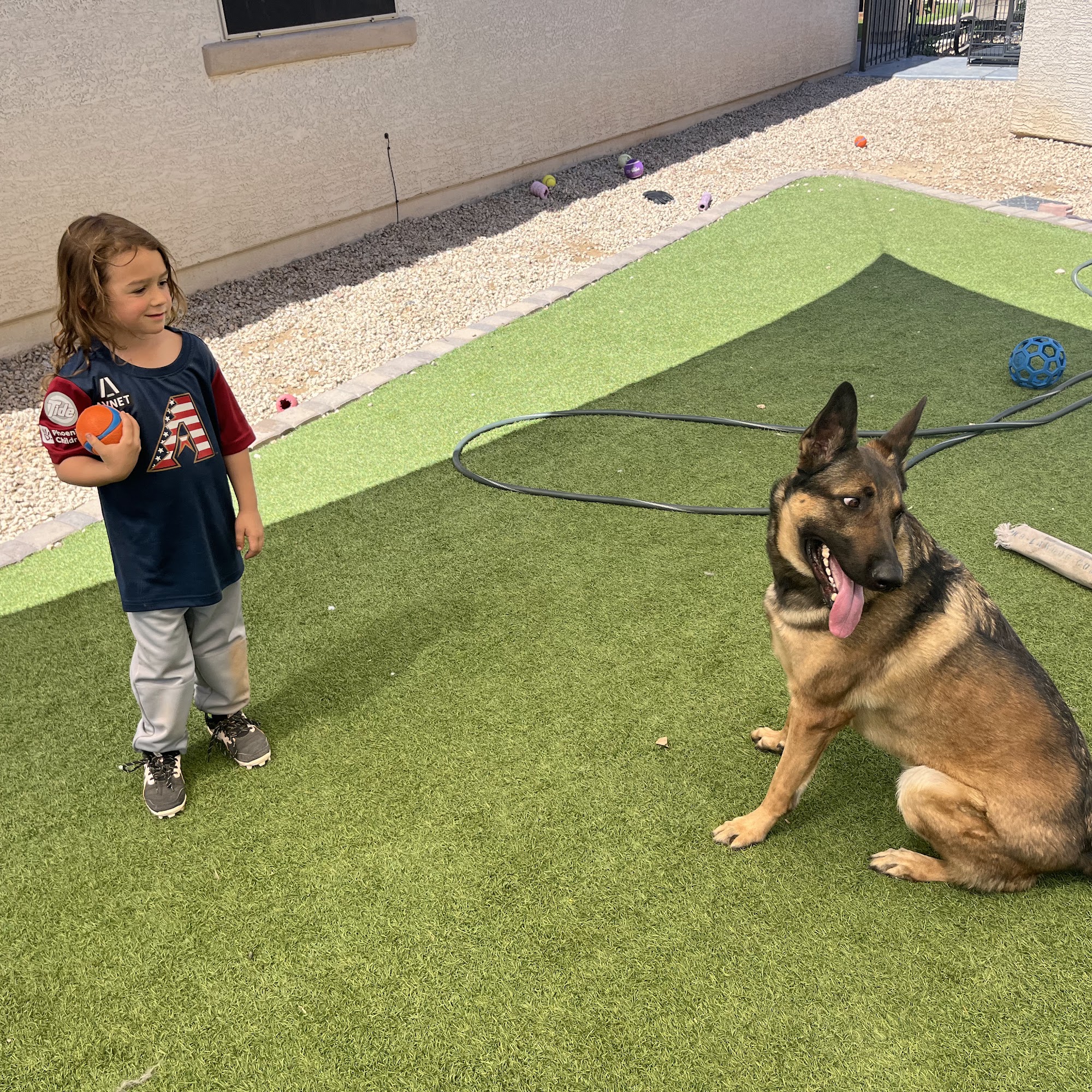 Pat's K9 Training, LLC Goodyear