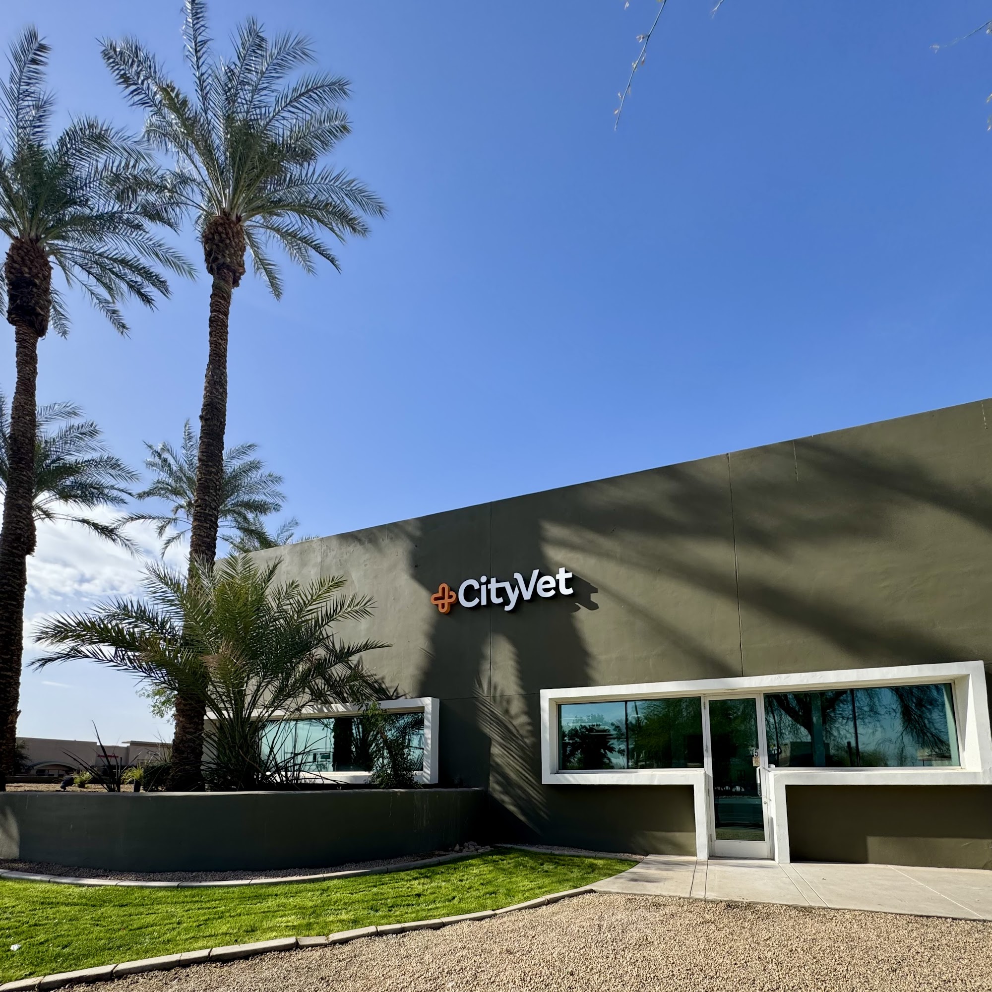 CityVet | Goodyear