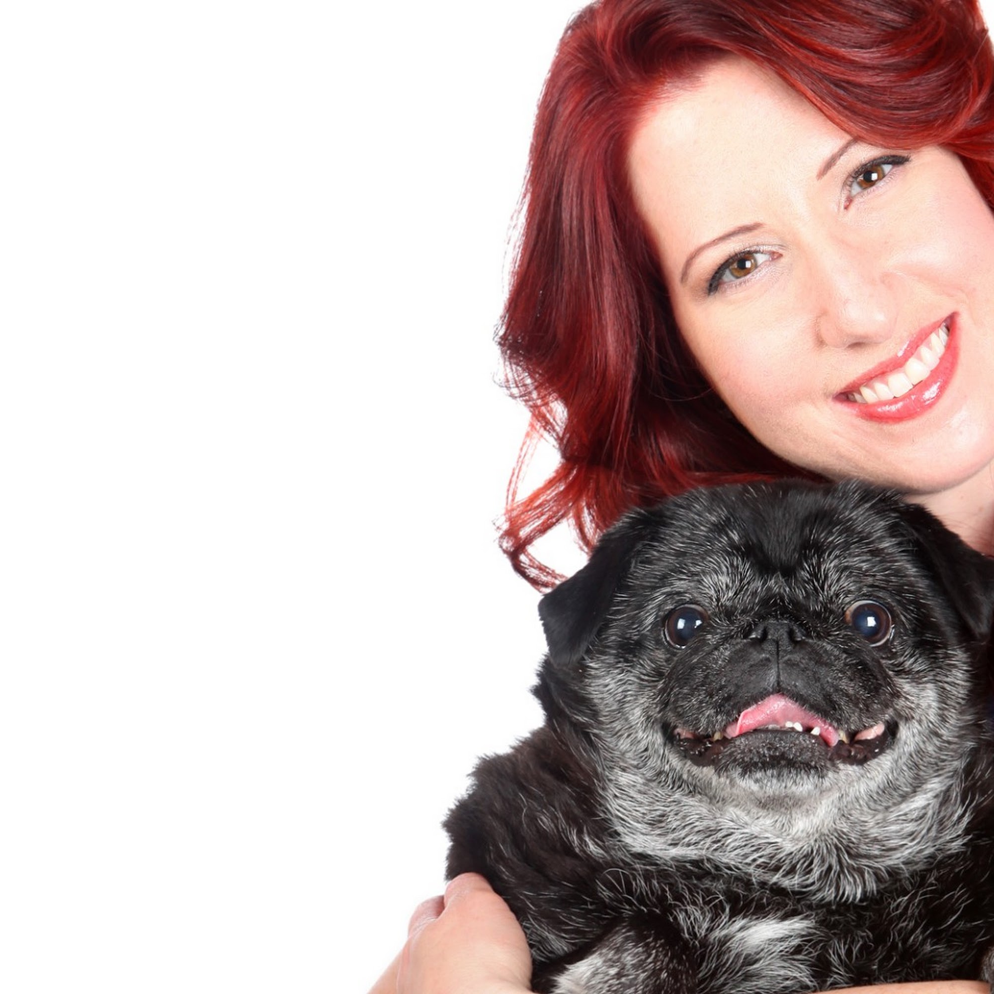 Stockton Hill Animal Hospital Kingman