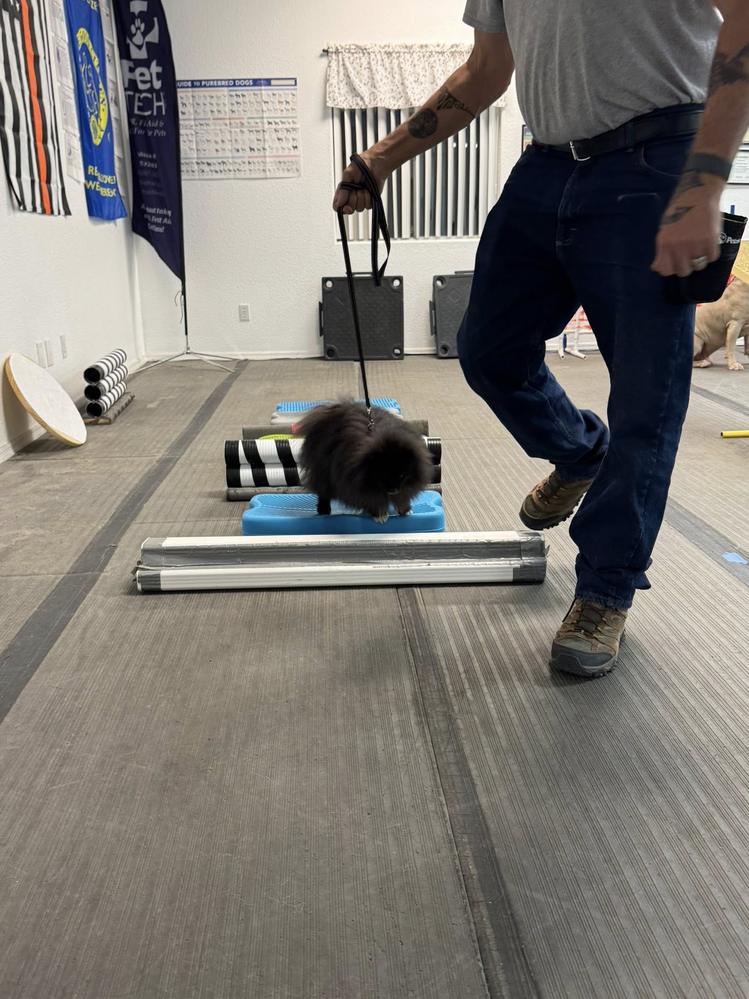 Pawsitive Connection Dog Training Kingman